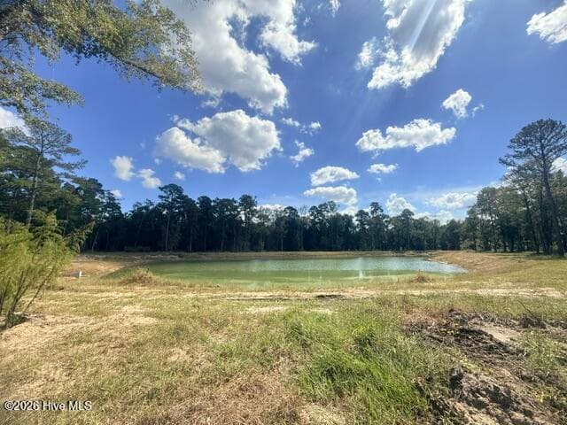 3892 608 River Park Way NE, Leland, NC 28451