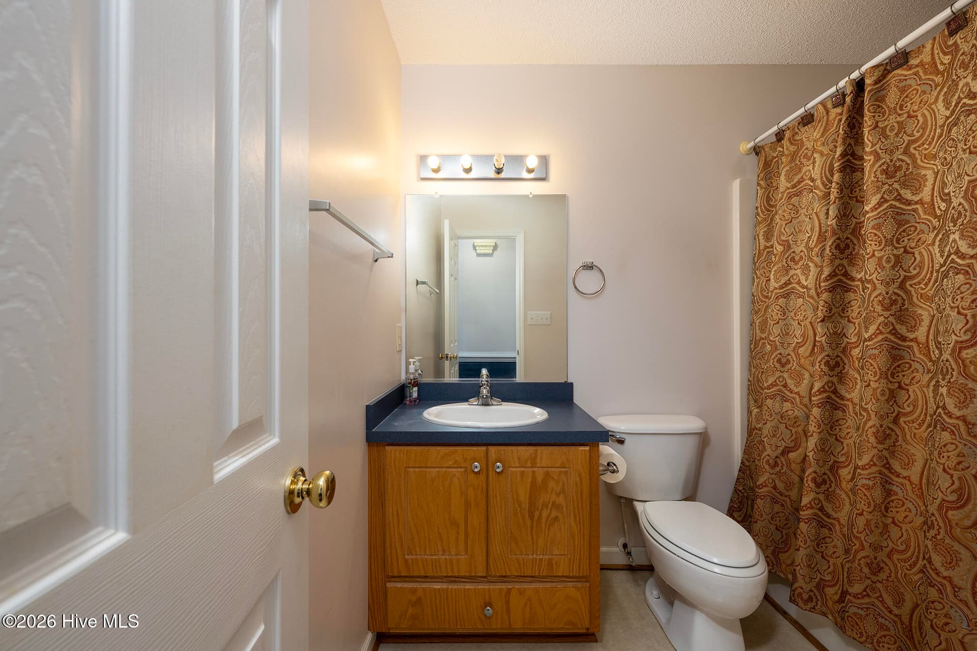 Guest Bathroom - 104 Trawick Drive, La Grange, NC 28551