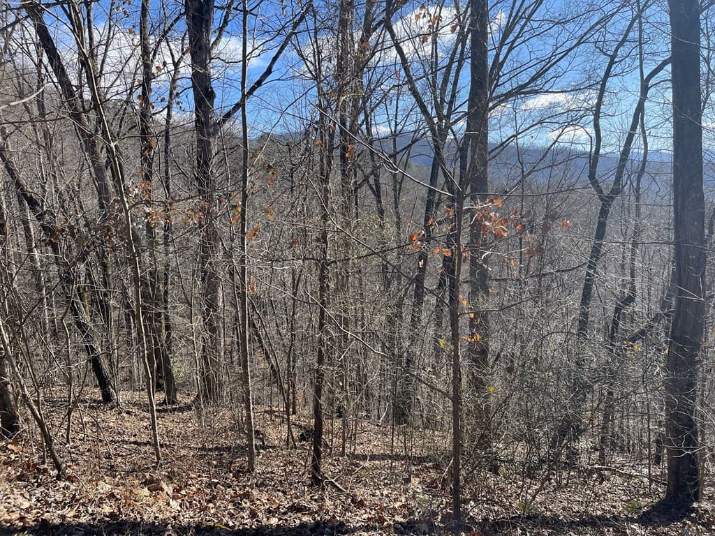 Residential Lot at Lot 37c 37C Ash Branch Circle, Hayesville, NC 28904, Hayesville, photo 4 of 6
