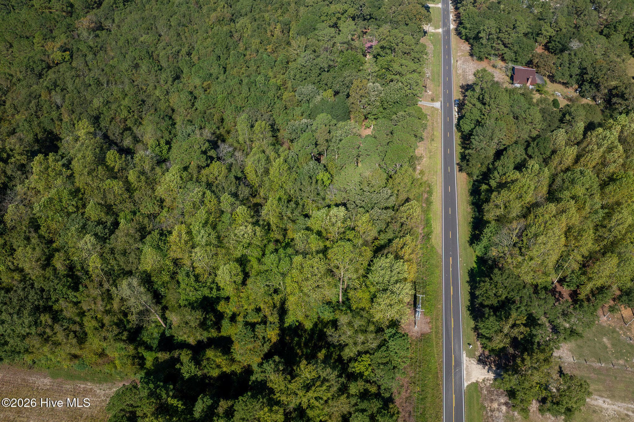 Single Family Residence at 245 Tracy Brown Road, Magnolia, NC 28453, photo 41 of 46