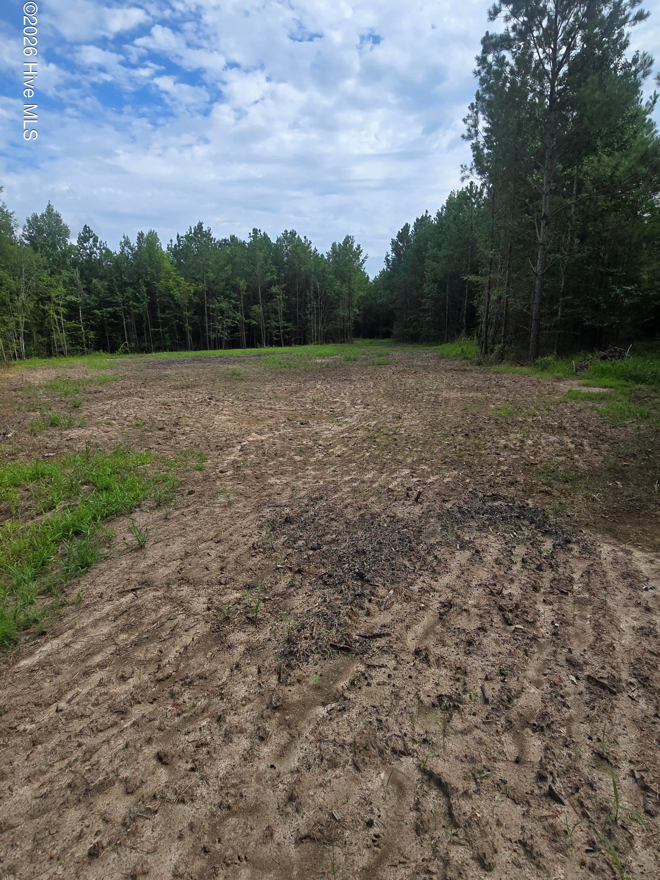 Residential Lot at 0 Netherland Road, Midville, GA 30441, photo 5 of 6