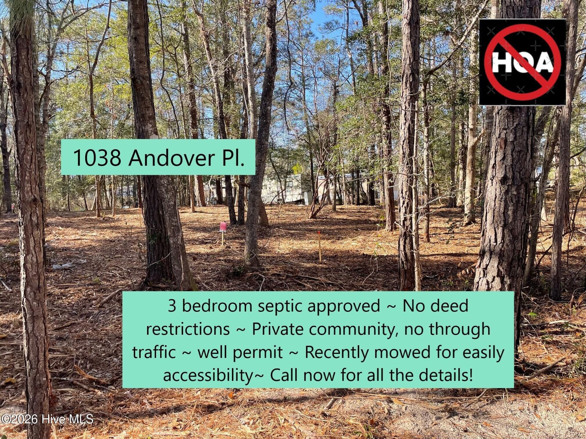 Mobile Home Lot at 1038 Andover Place SE, Bolivia, NC 28422, photo 5 of 17