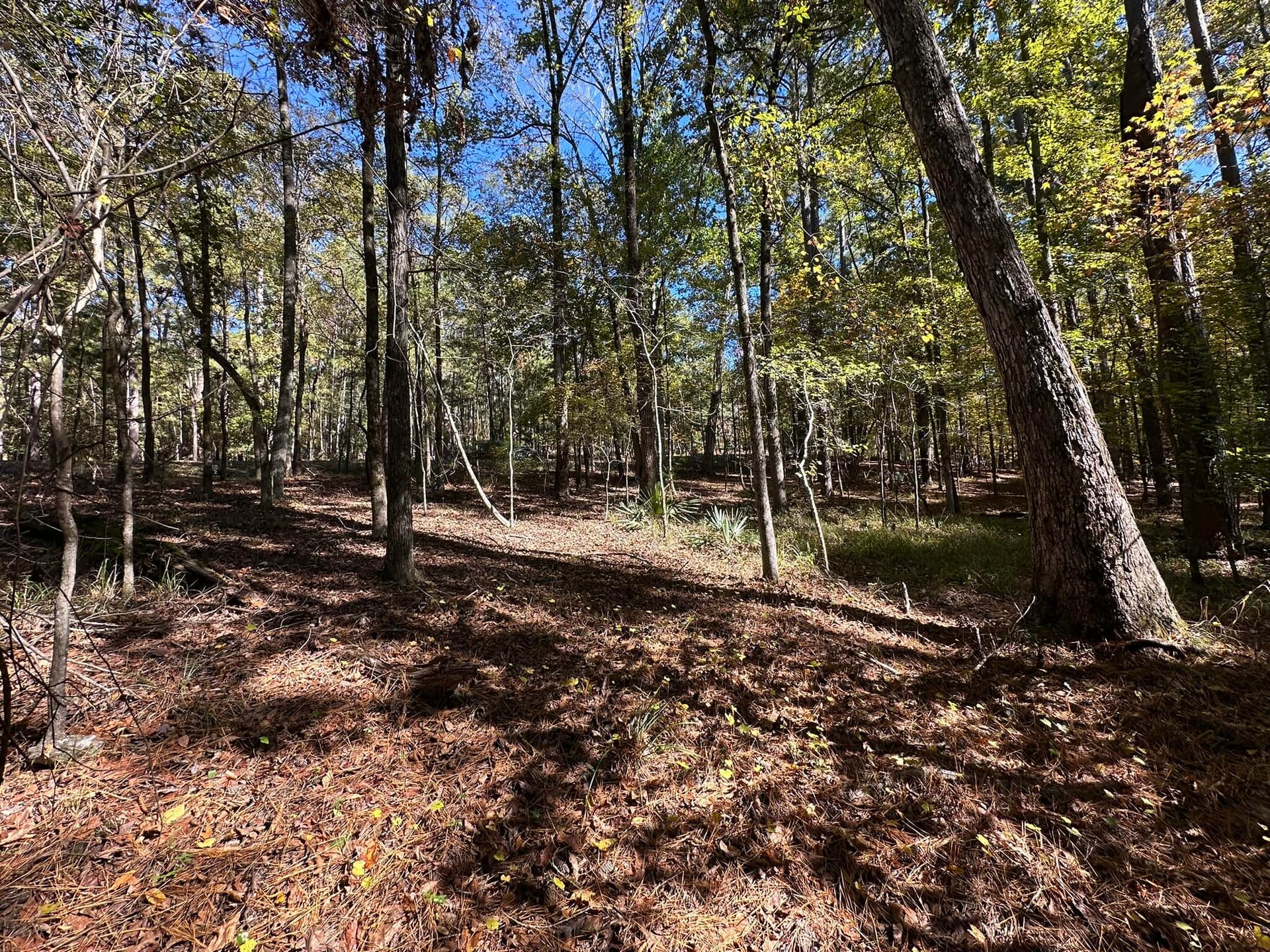 Residential Lot at 167 7 Southwind Drive, McCormick, SC 29835, photo 9 of 18