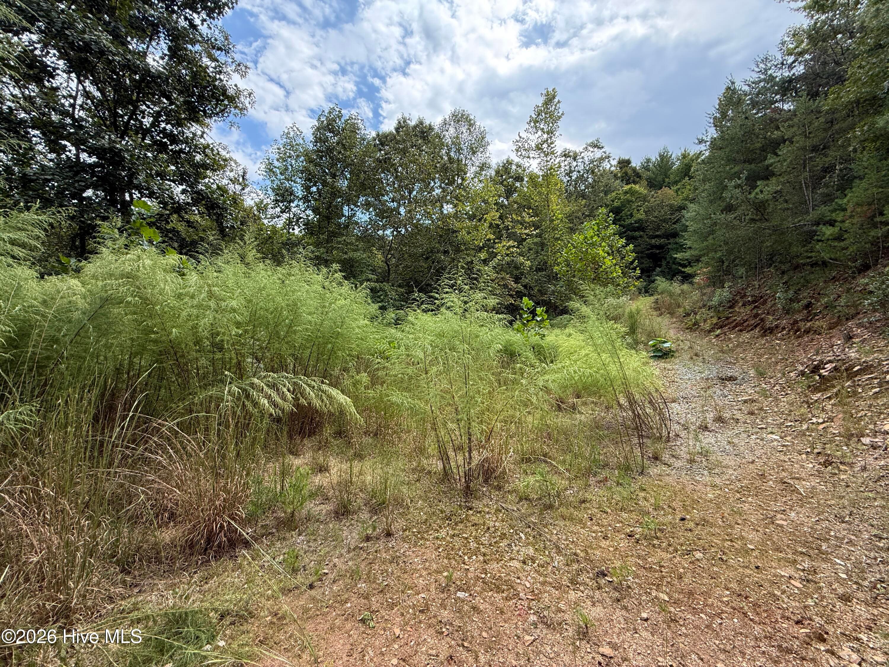 Residential Lot at 190 Leisey Lane, Murphy, NC 28906, photo 7 of 7