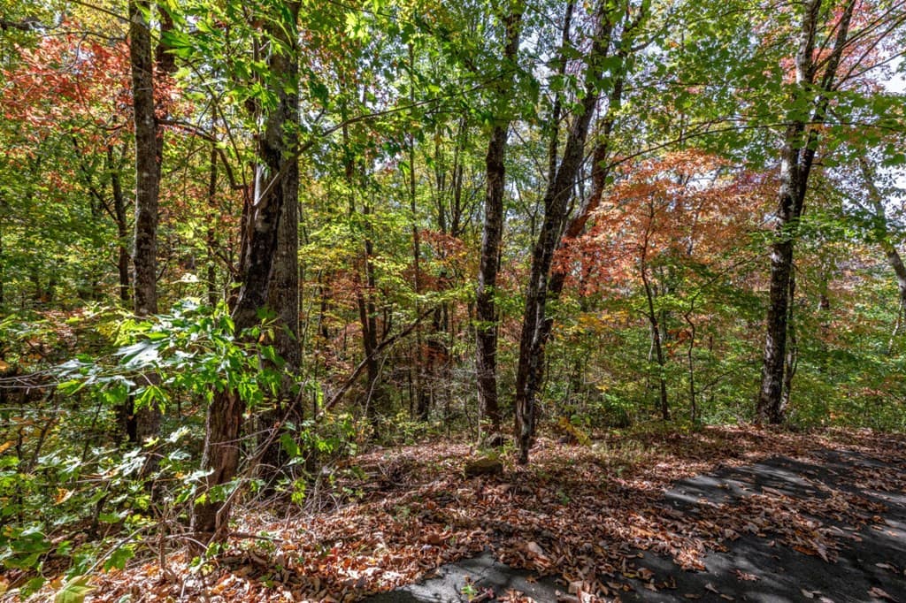 Undeveloped at Lot 38 38 Skyview At Wildlife Acres, Hayesville, NC 28904, Hayesville, photo 8 of 32