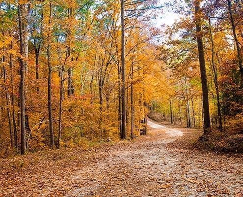 Residential Lot at 167 7 Southwind Drive, McCormick, SC 29835, photo 17 of 18