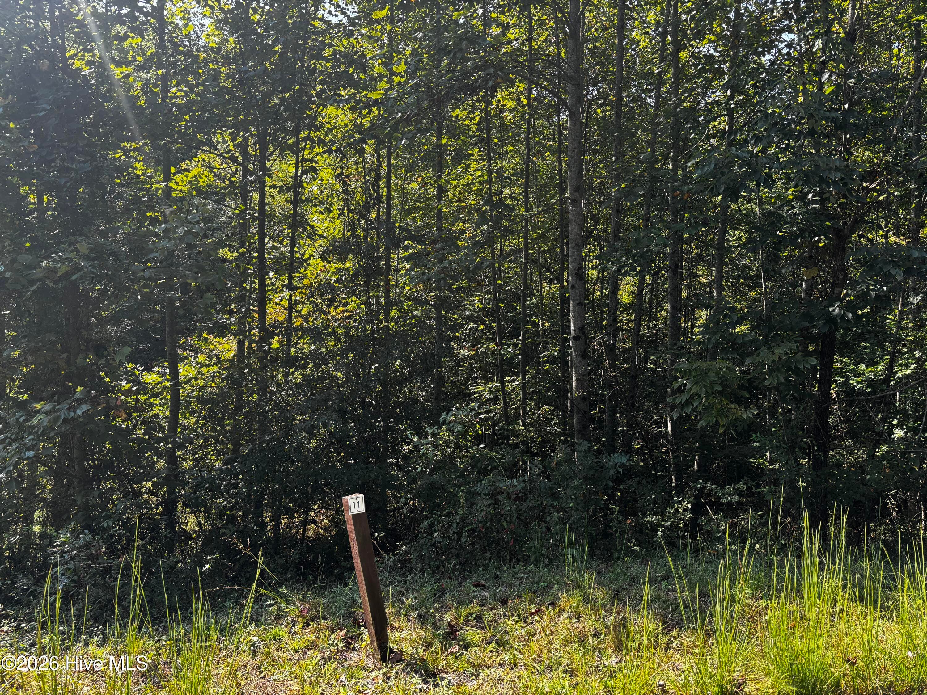 Residential Lot at 00 35 Highland Ridge Trail, Murphy, NC 28906, photo 6 of 8