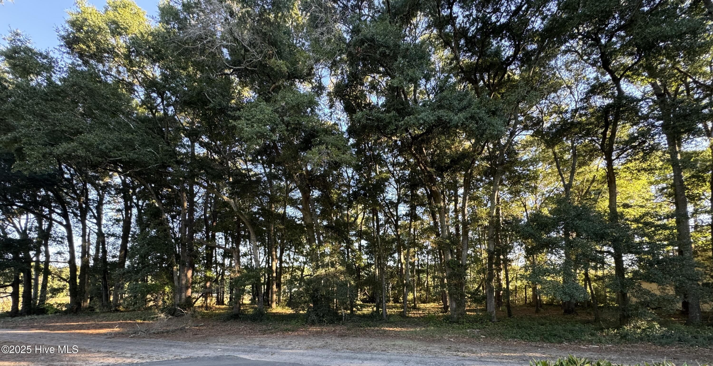 594 Medcalf Drive SW, Sunset Beach, NC 28468
