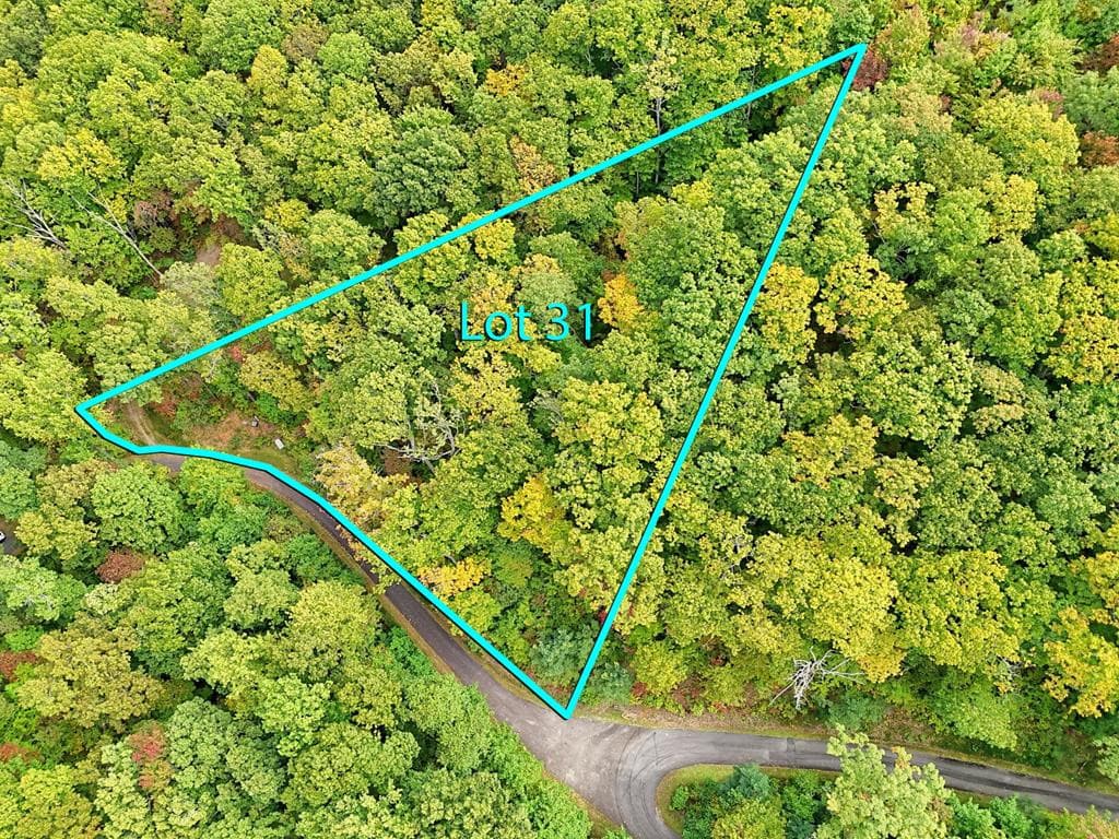 Residential Lot at Lot 31 31 Skyview Trail, Hayesville, NC 28904, Hayesville, photo 7 of 11