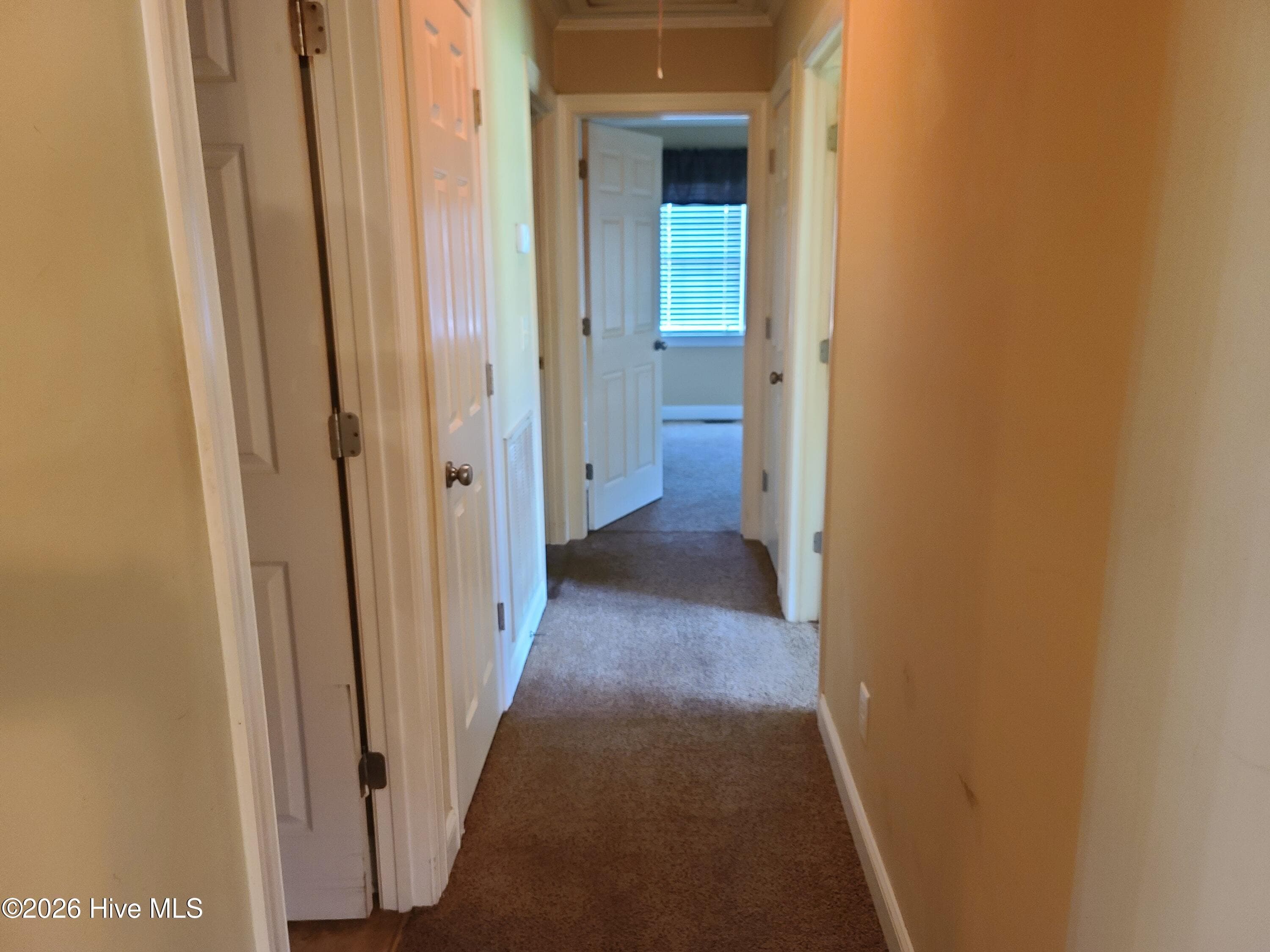 Hall - 569 Central Avenue, Kinston, NC 28504