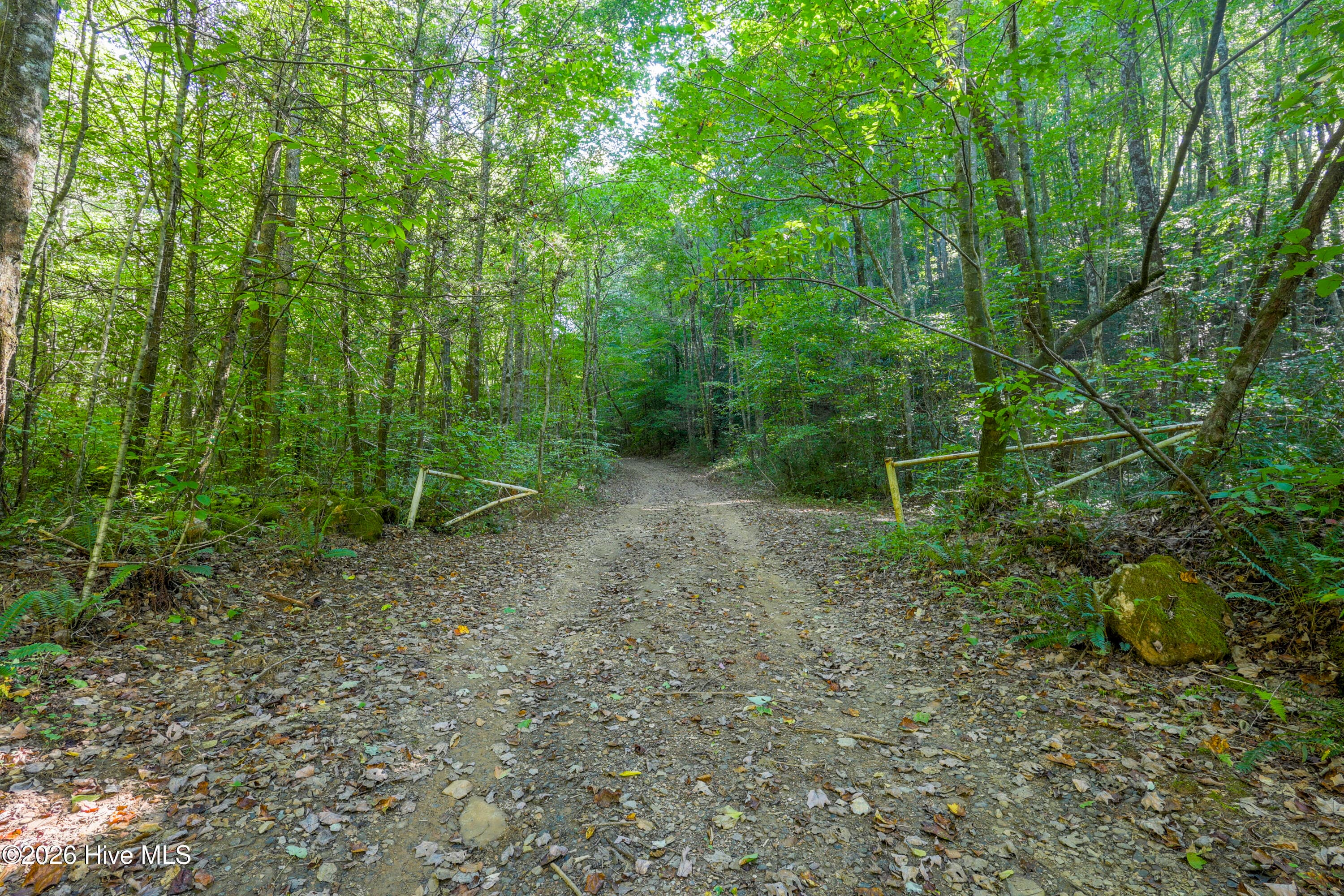 Wooded at 90 Ac Tree House Road, Andrews, NC 28901, photo 2 of 19