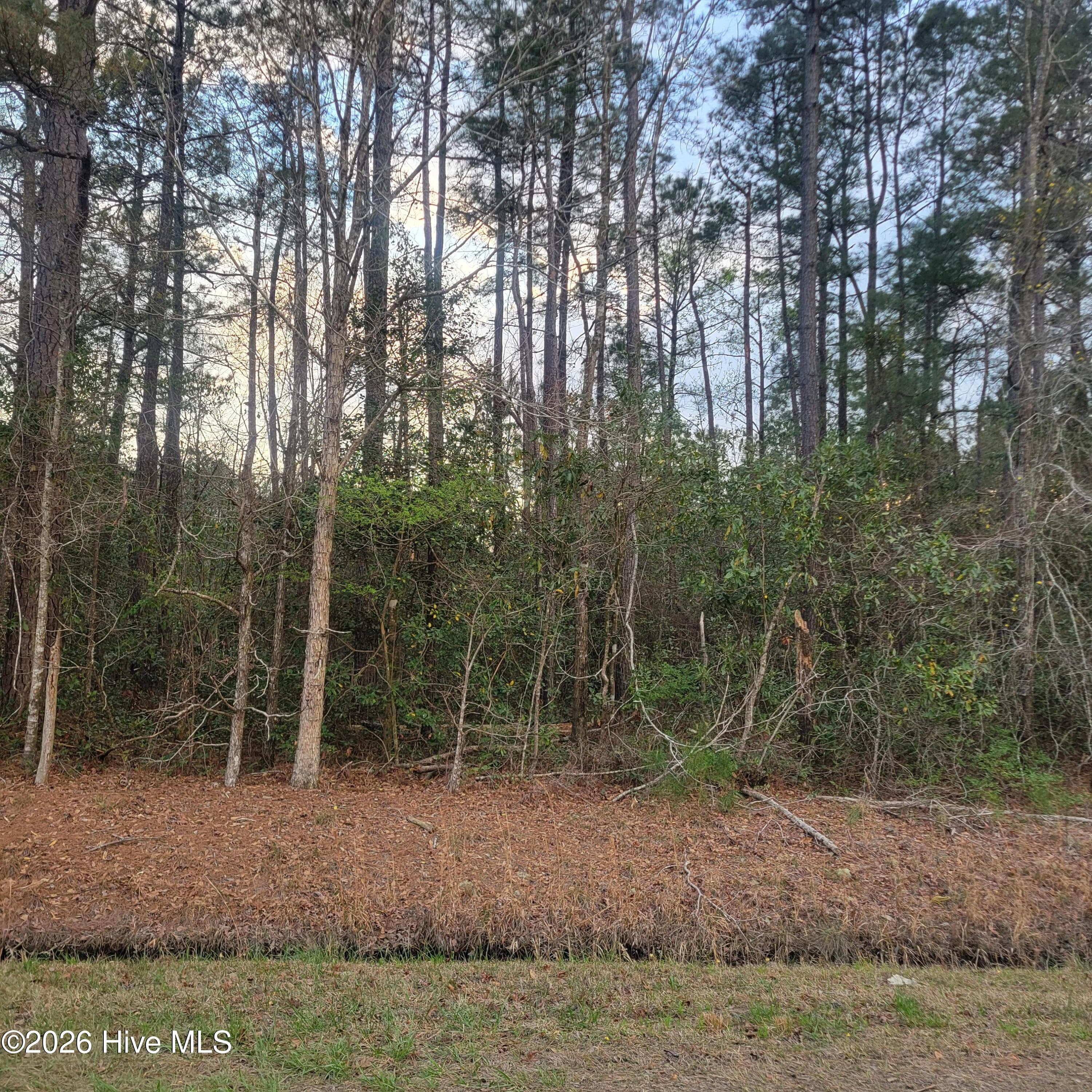 Tract 8 Fennell Town Road, Rocky Point, NC 28457