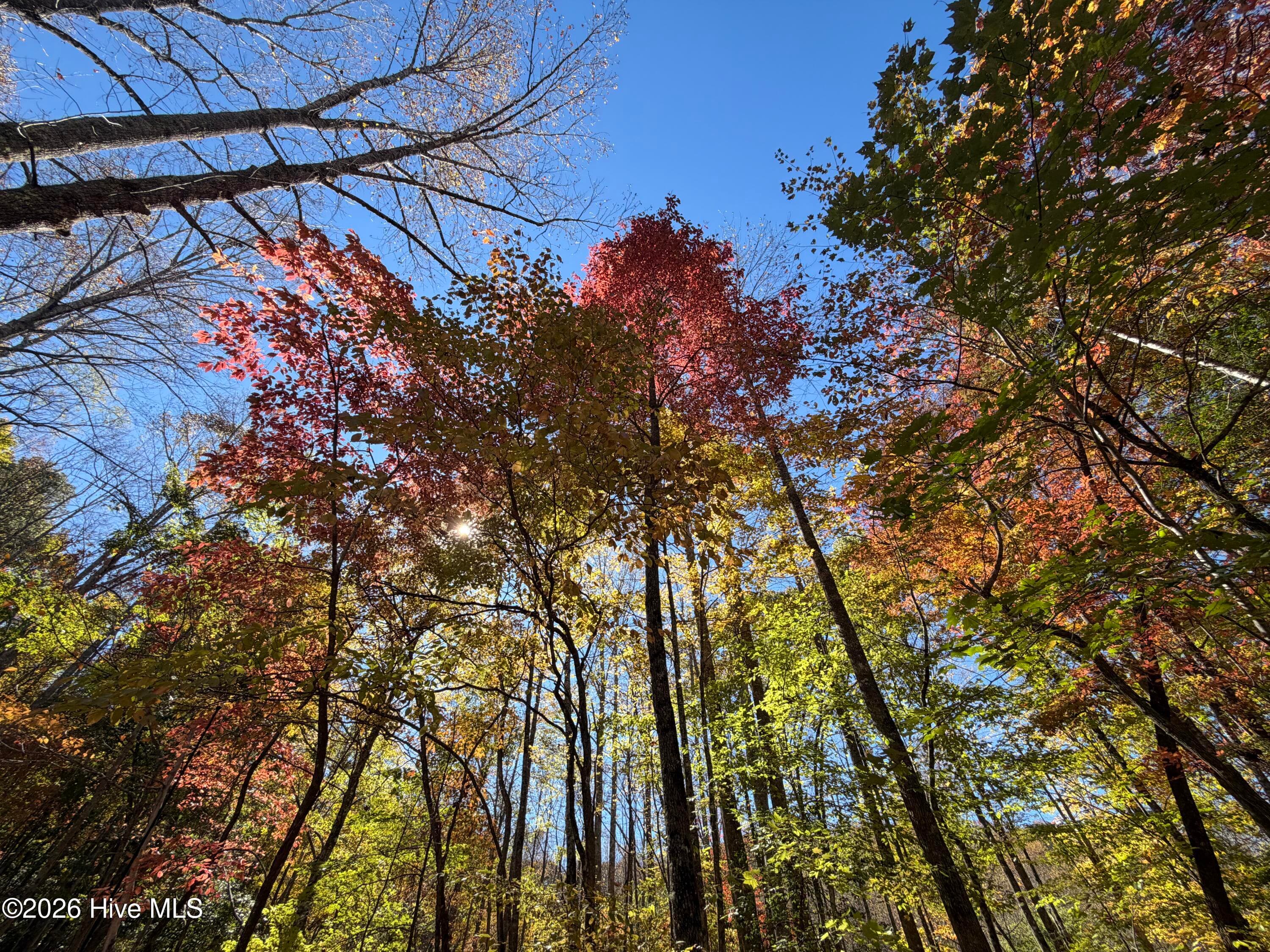 Residential Lot at Lot# 6 Rhododendron Drive Drive, Topton, NC 28781, photo 4 of 4
