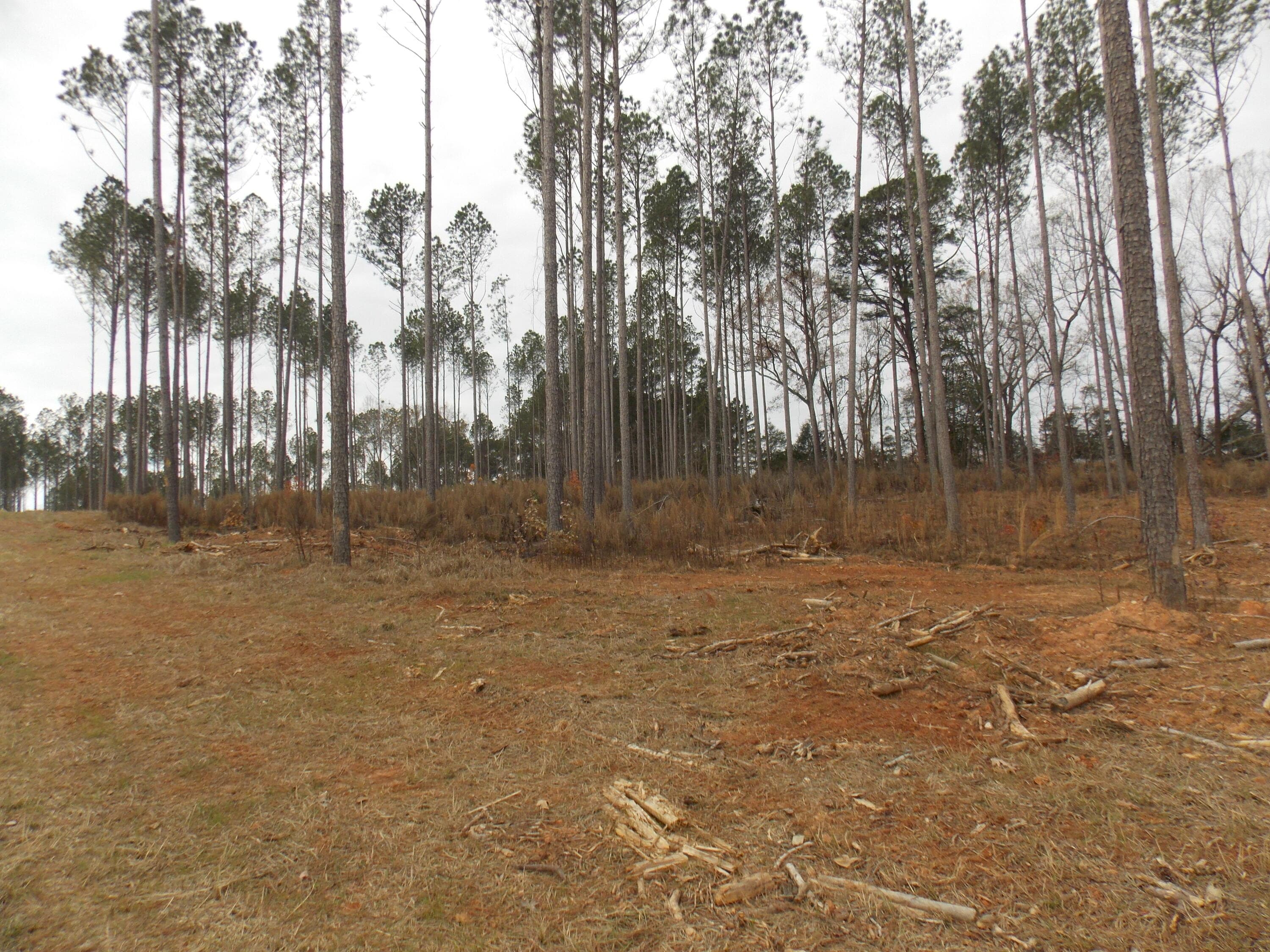 2 2 E Mosley Road, Lincolnton, GA 30817