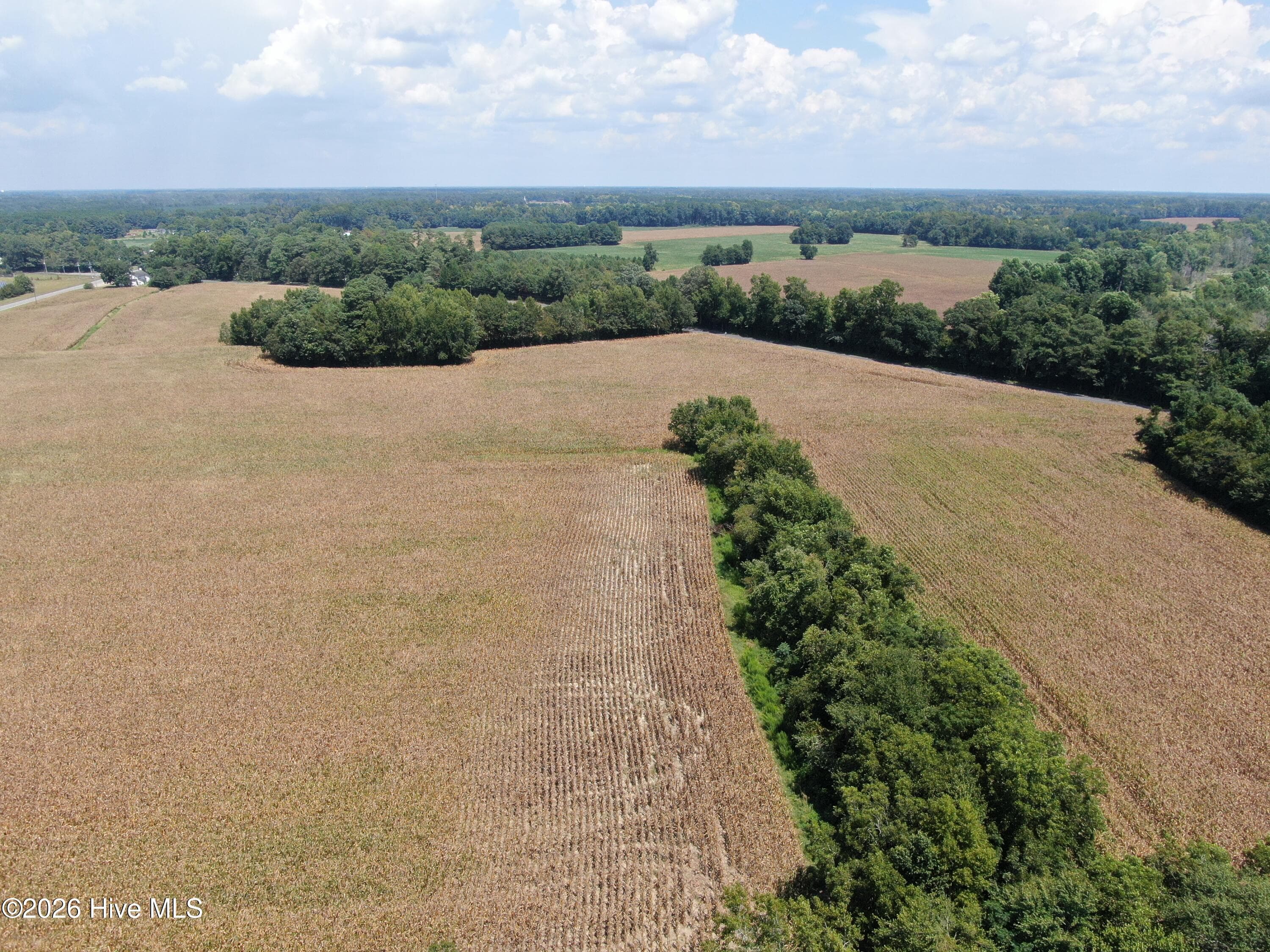 Farm at Tbd Nc 41, Fairmont, NC 28340, photo 2 of 2