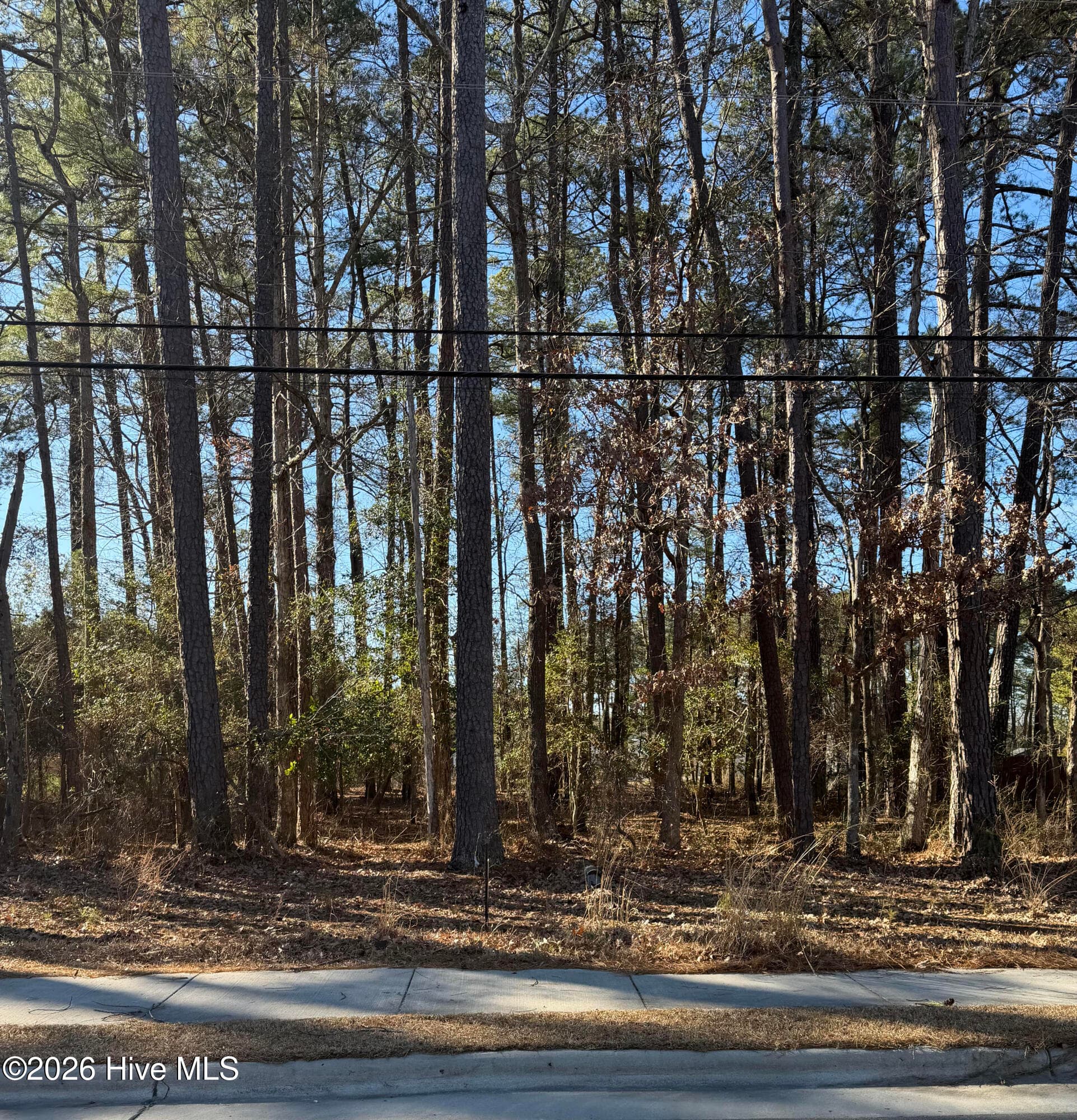 Residential Land at Lot 3 3 Springfield Road, Rocky Mount, NC 27801, photo 2 of 2