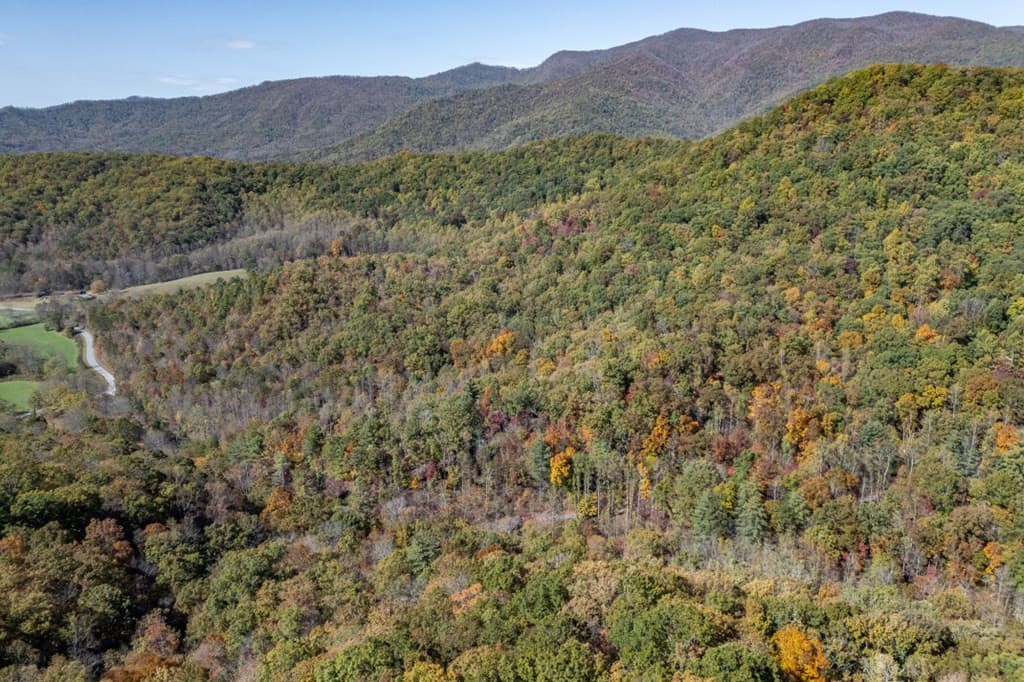 Undeveloped at Lot 38 38 Skyview At Wildlife Acres, Hayesville, NC 28904, Hayesville, photo 23 of 32