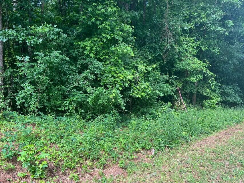 Undeveloped at 1 New Delaughter Drive, North Augusta, SC 29860, photo 7 of 10