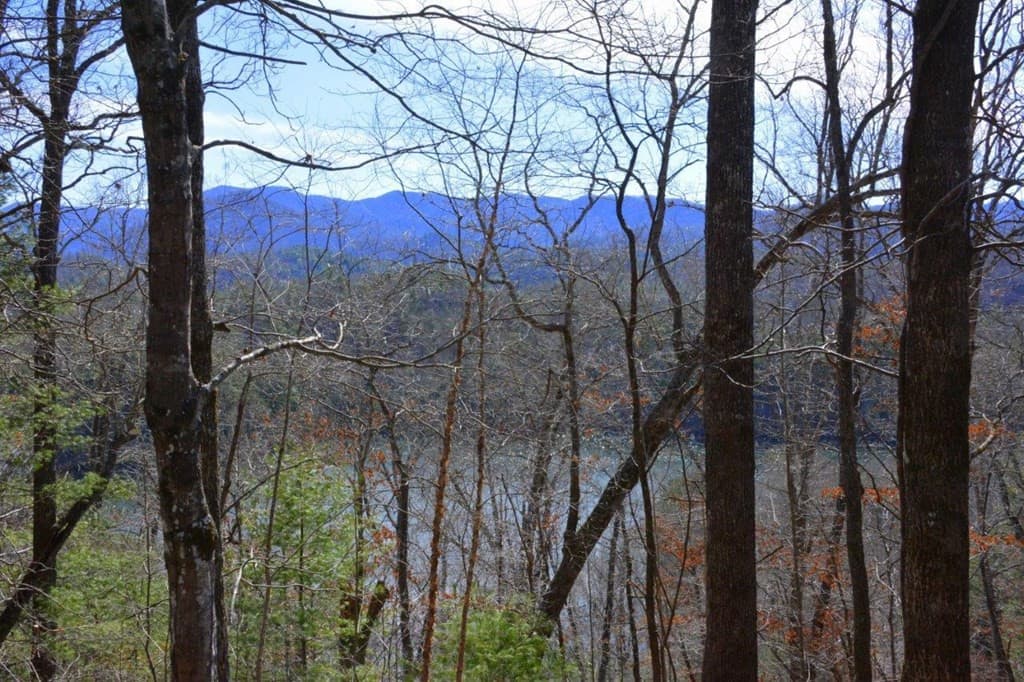 Land at 00 Chestnut Ridge, Robbinsville, NC 28771, photo 4 of 6