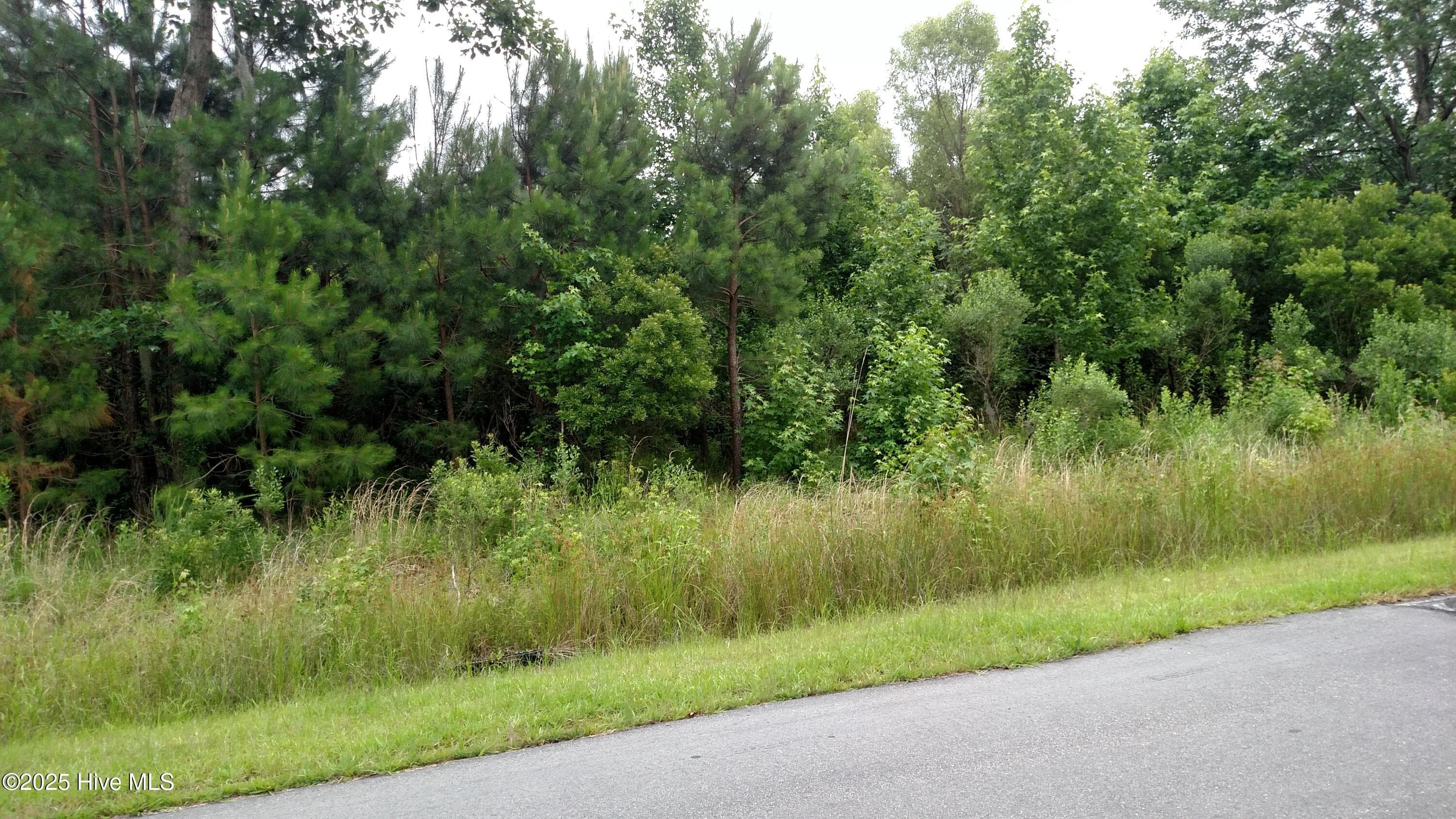 212 190 Plumtree Circle, Edenton, NC 27932