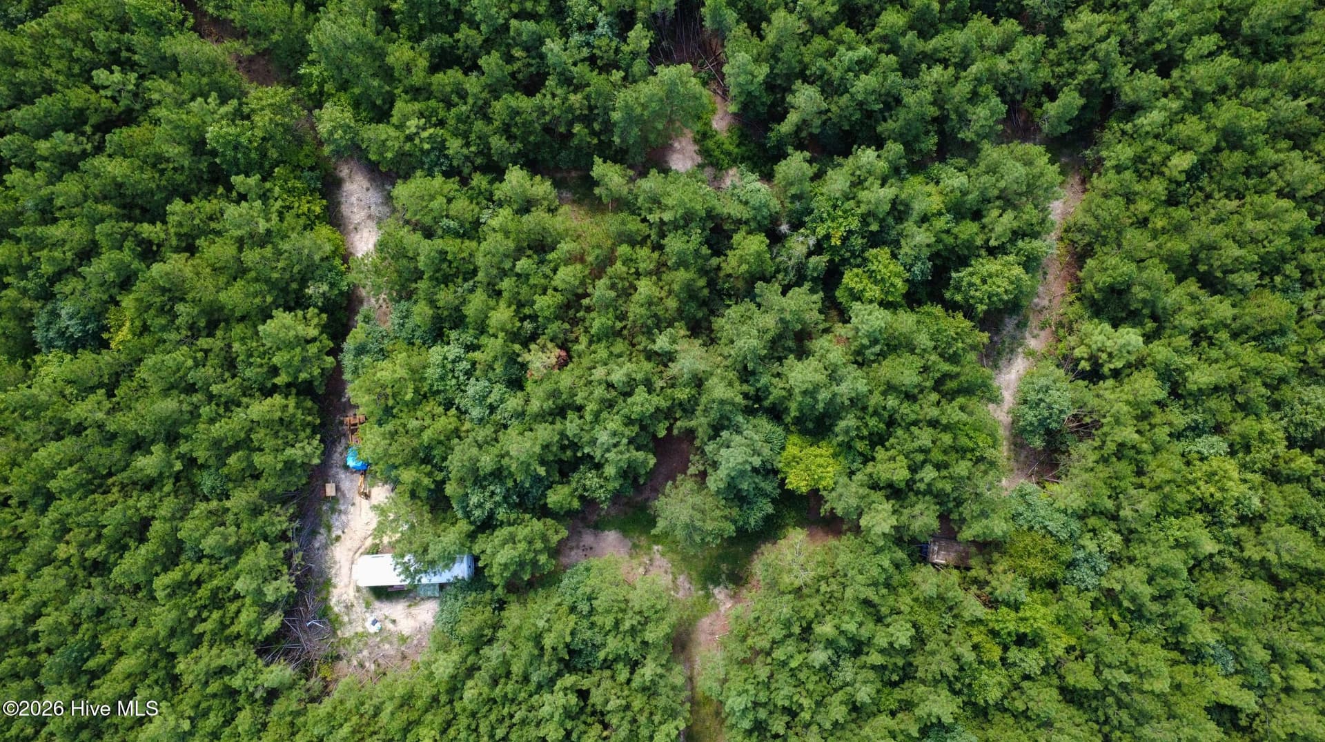 Undeveloped at 239 16 Lick Creek Road, Carthage, NC 28327, photo 8 of 12