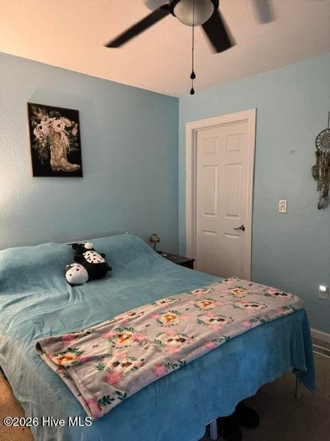Down stairs bedroom - 4131 N Nc 118 Highway, Grifton, NC 28530