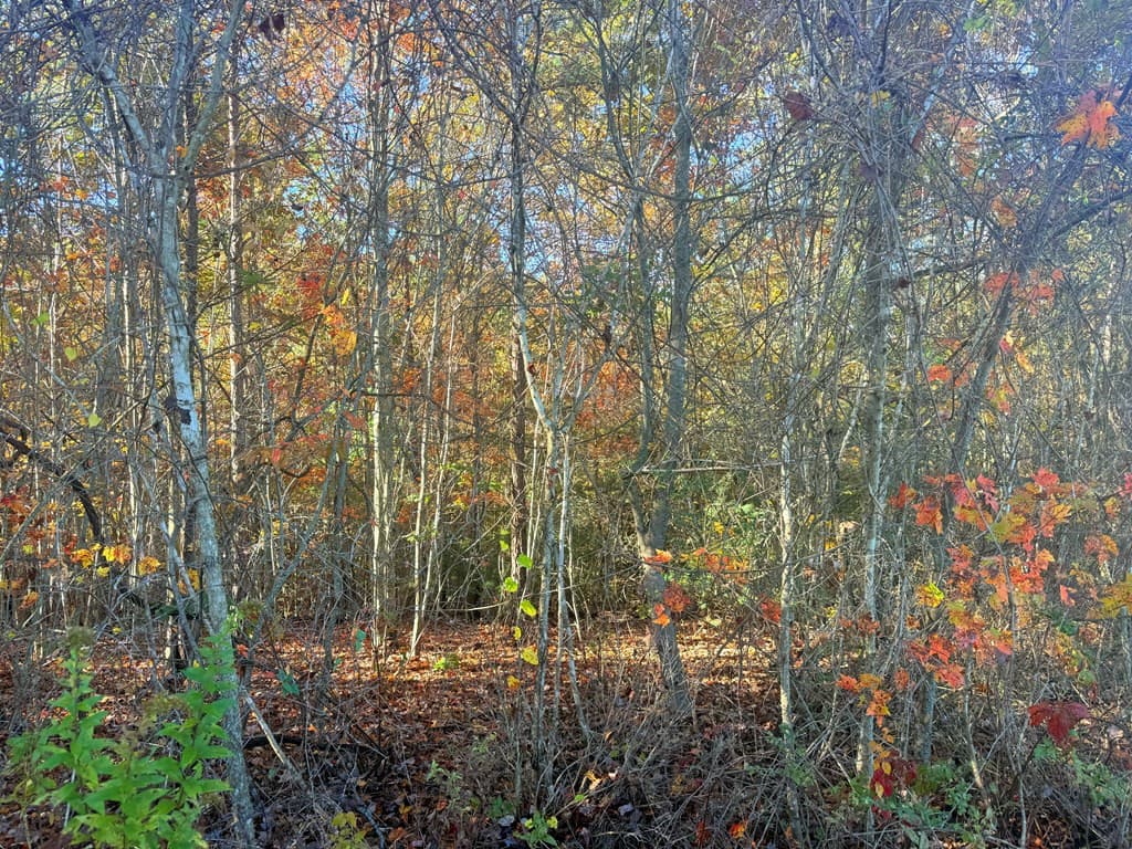Land at Lot 25 Hideaway Ridge Drive, Murphy, NC 28906, photo 2 of 4