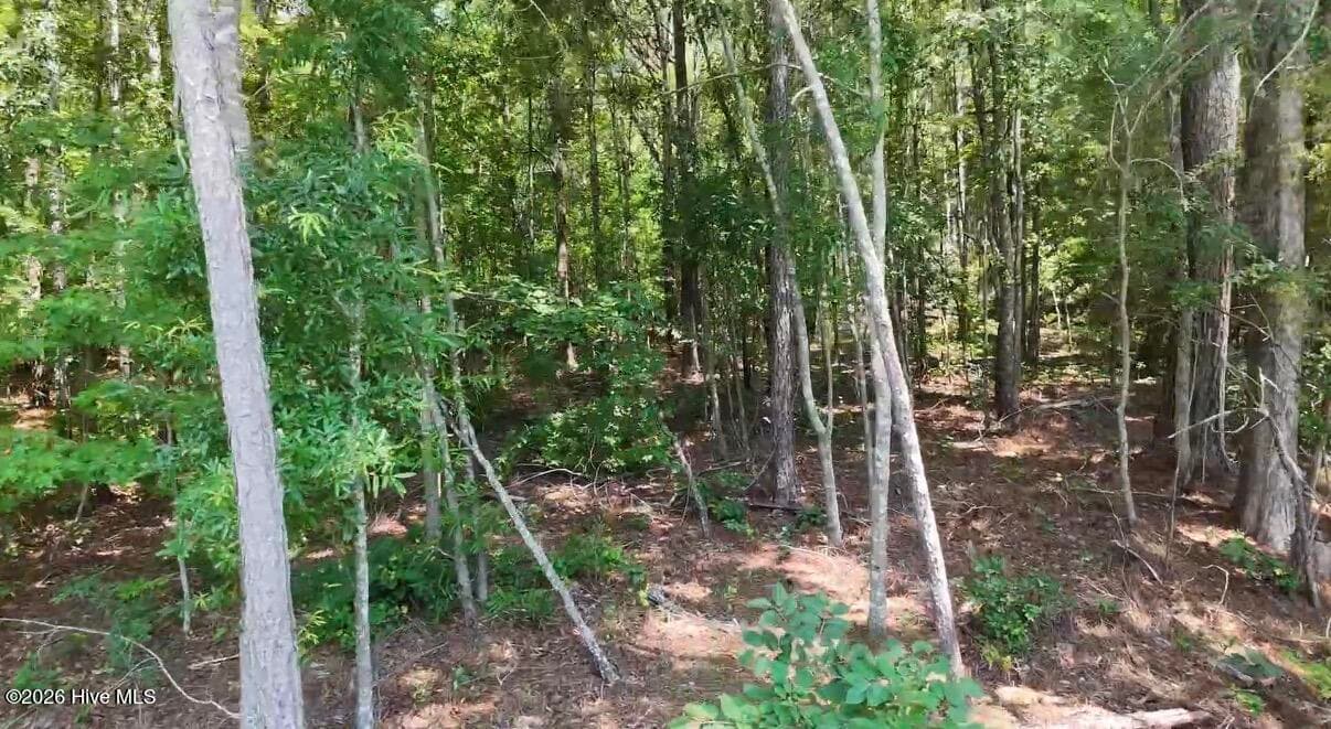 Wooded at 110 N North Martintown Road Road, Edgefield, SC 29824, photo 4 of 4