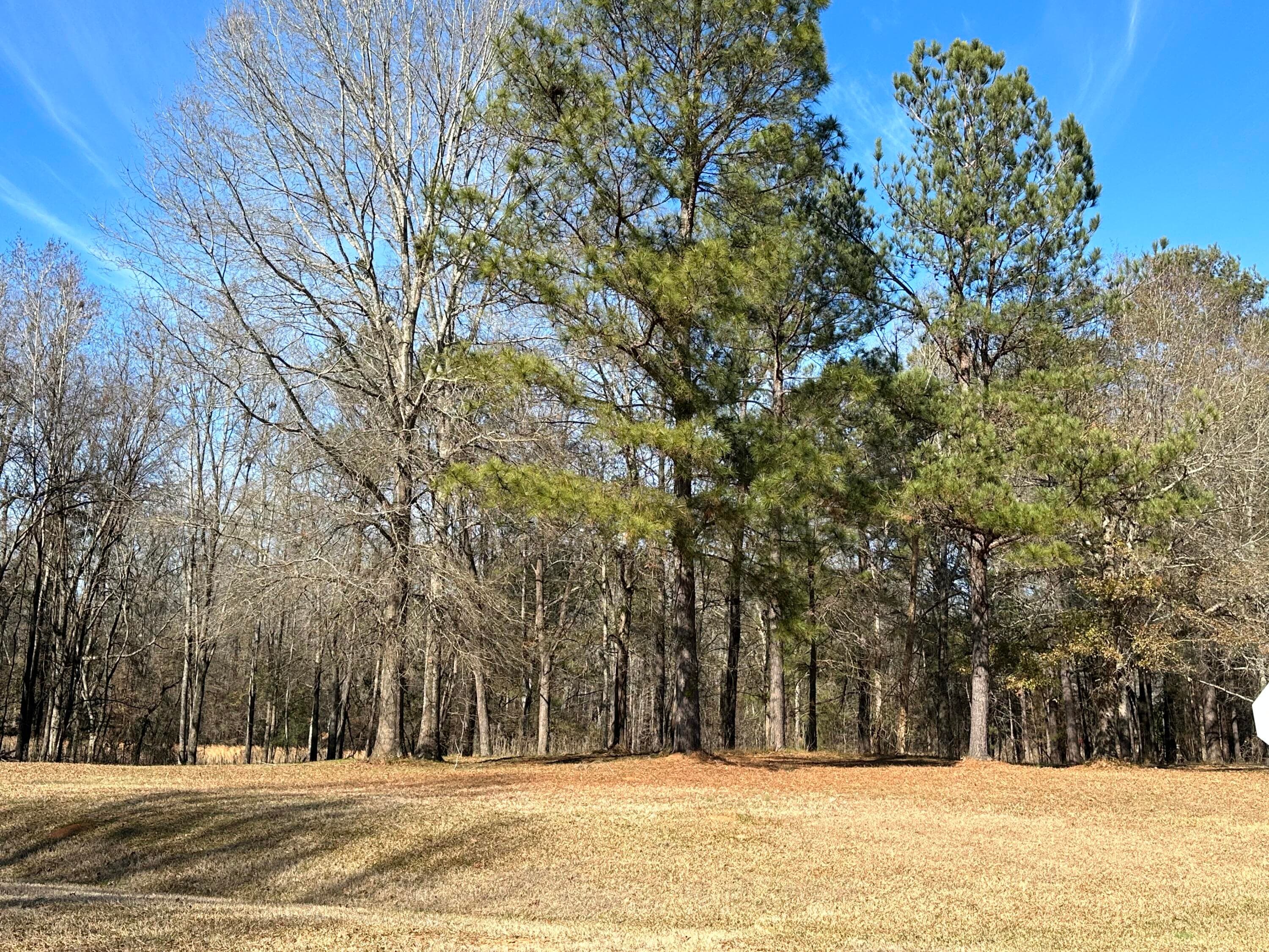 37 37 Crestridge Dr (Lot 37) Drive, Waynesboro, GA 30830