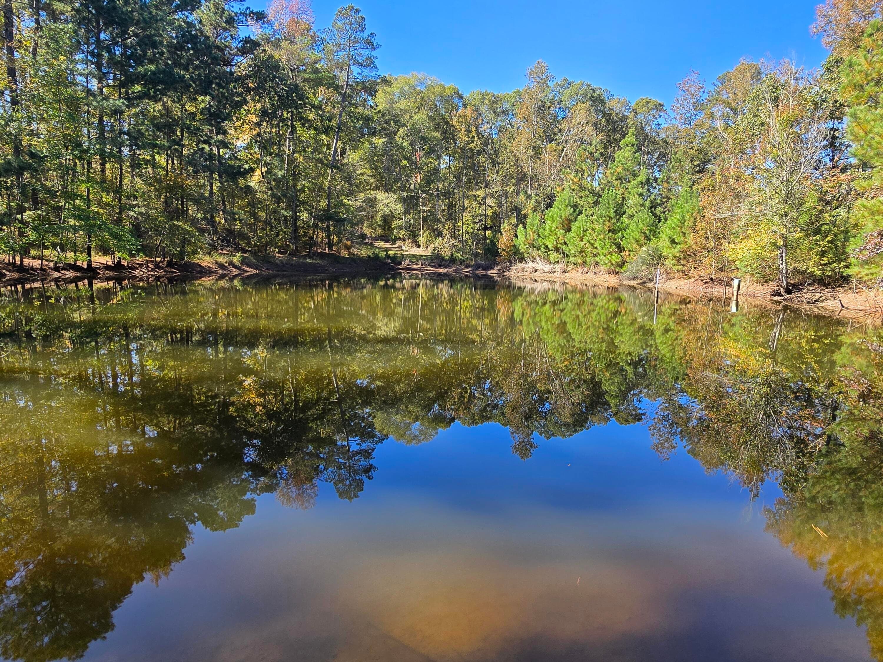 Mixed Use at 7501 Rainey Morris Road, Appling, GA 30802, photo 27 of 47