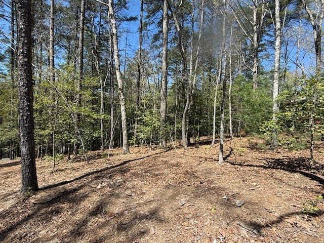 Residential Lot at Lot 2 2 Lynae Lane, Murphy, NC 28906, photo 3 of 5