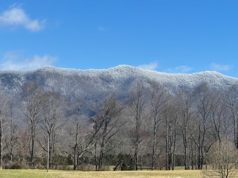 Undeveloped at 10617 Highway 64 E, Hayesville, NC 28904, Hayesville, photo 4 of 5