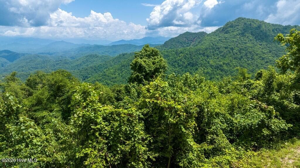 Single Family Residence at 235 Rios Drive, Bryson City, NC 28713, Bryson City, photo 26 of 29