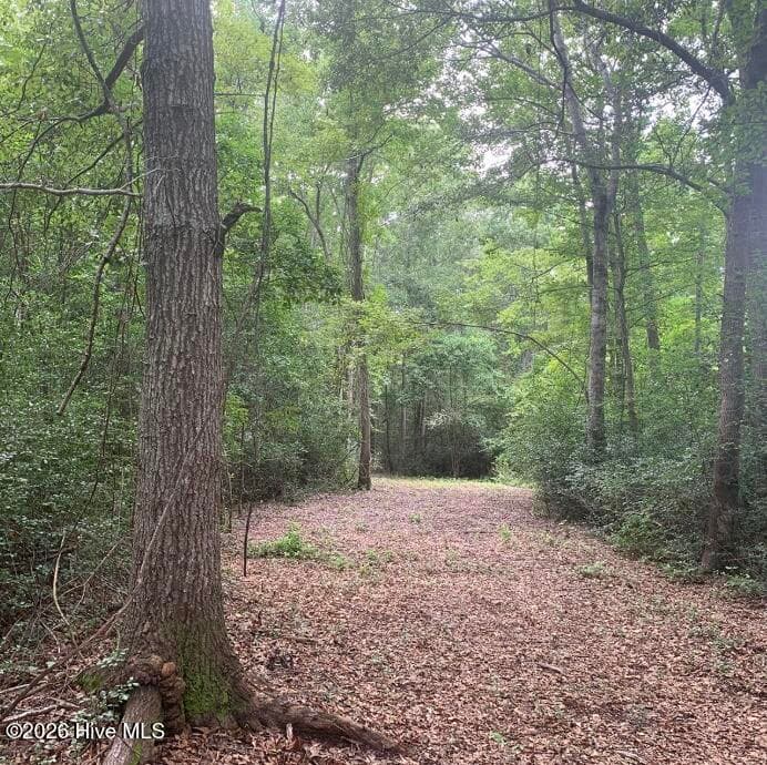 Residential Lot at 45.22 Ac Atlantic Breeze Drive, North Myrtle Beach, SC 29582, photo 2 of 4