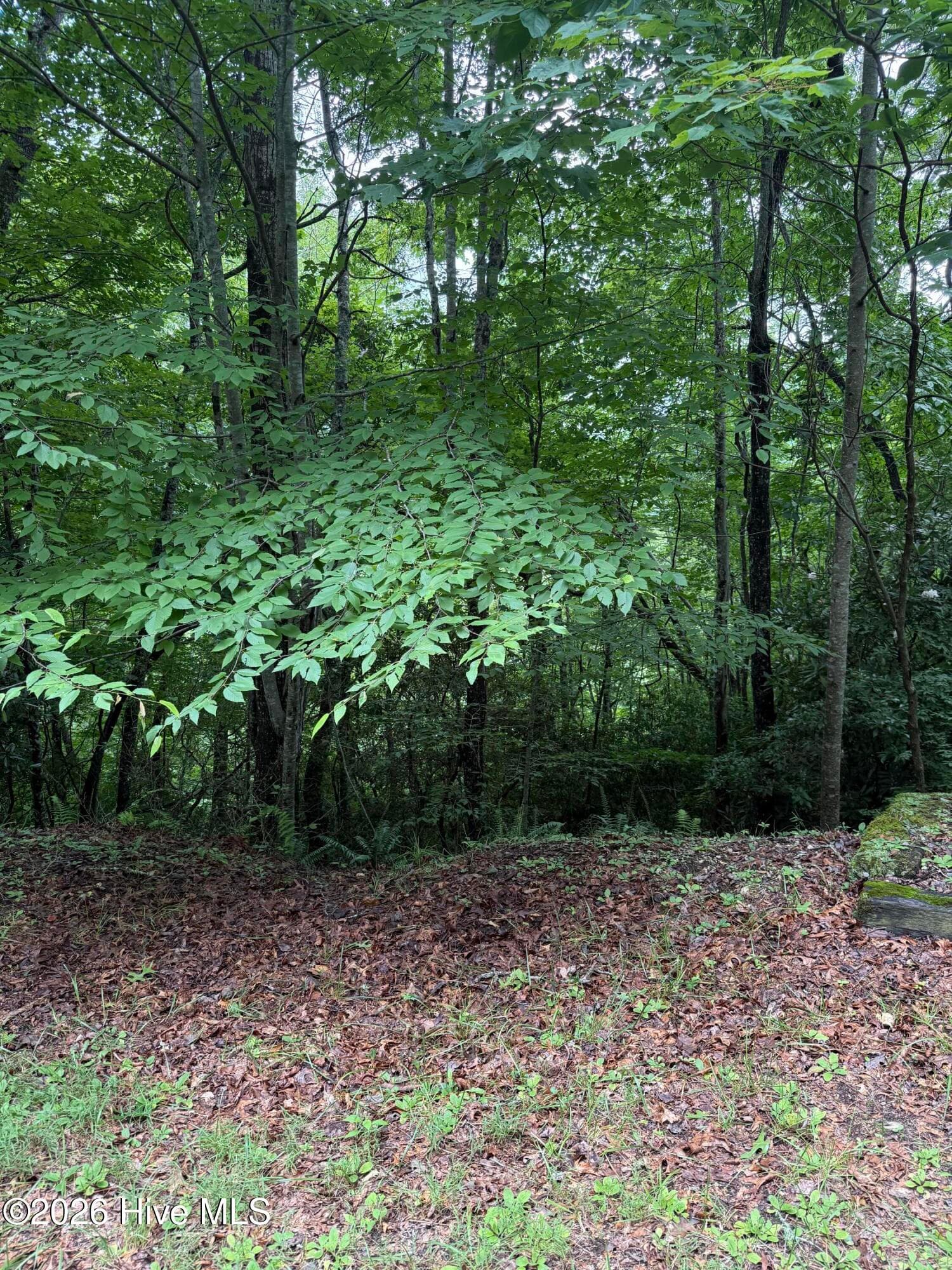 Residential Lot at Lot 14 14 Mountain Vista Lane, Topton, NC 28781, photo 5 of 8
