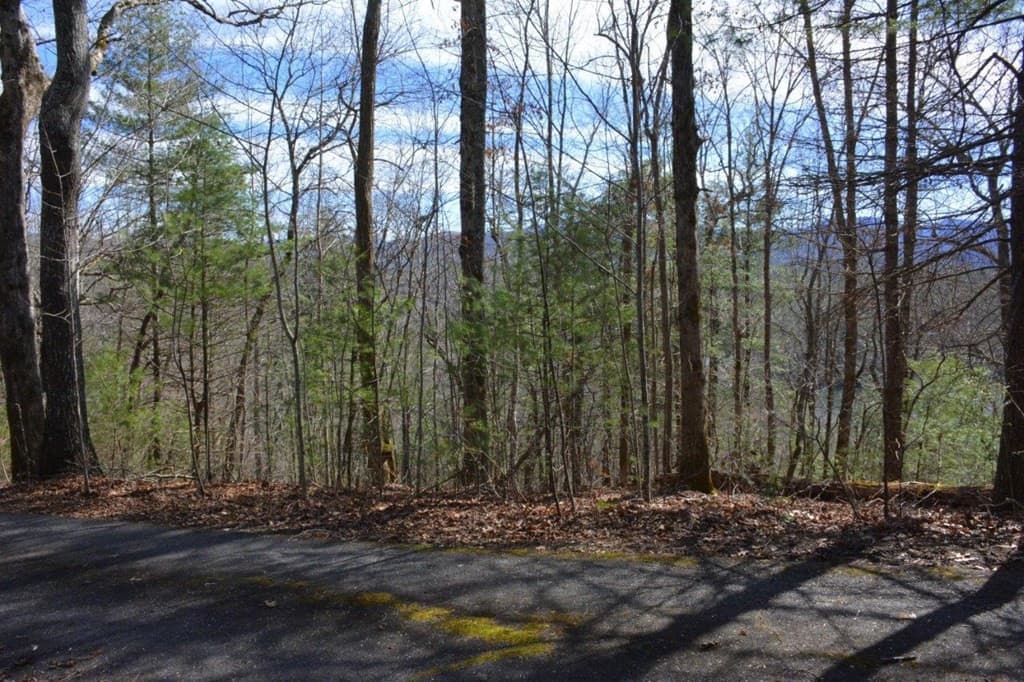 Land at 00 Chestnut Ridge, Robbinsville, NC 28771, photo 2 of 6
