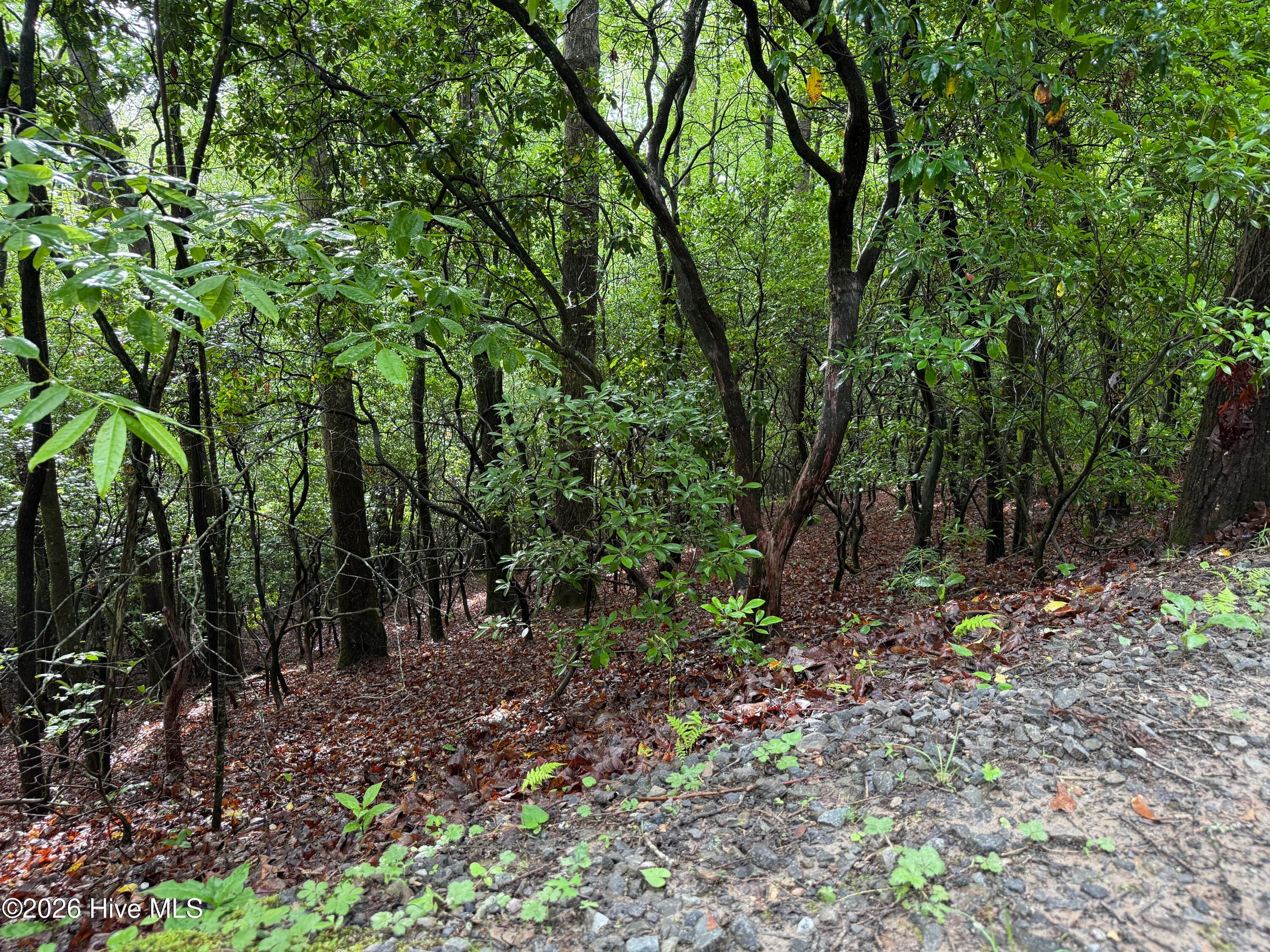 Residential Lot at Lot 28 Atoah Loop, Murphy, NC 28906, photo 4 of 15