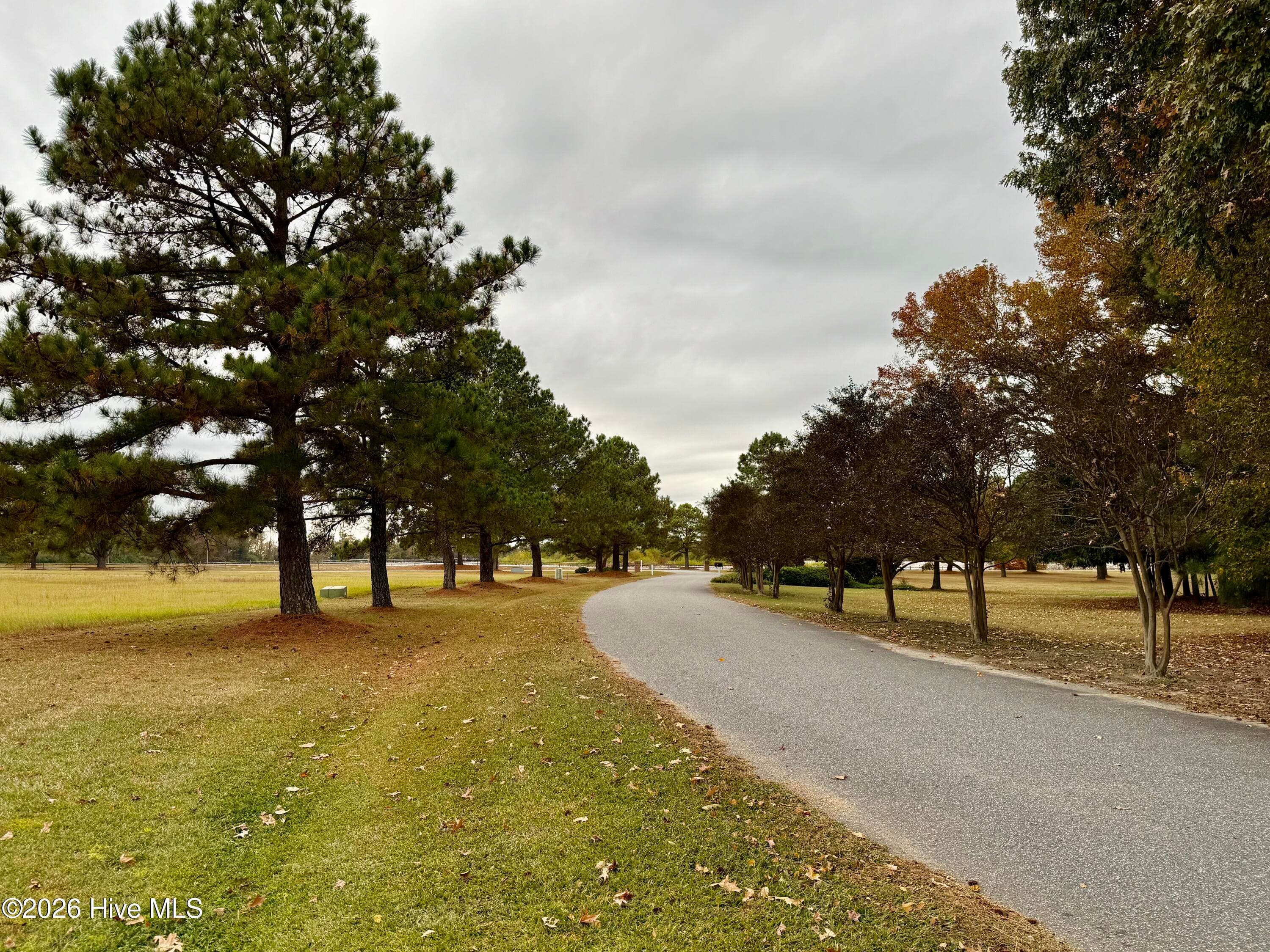 Entering the neighborhood. Beautiful drive! - 112 Mallard Cove Road, Edenton, NC 27932