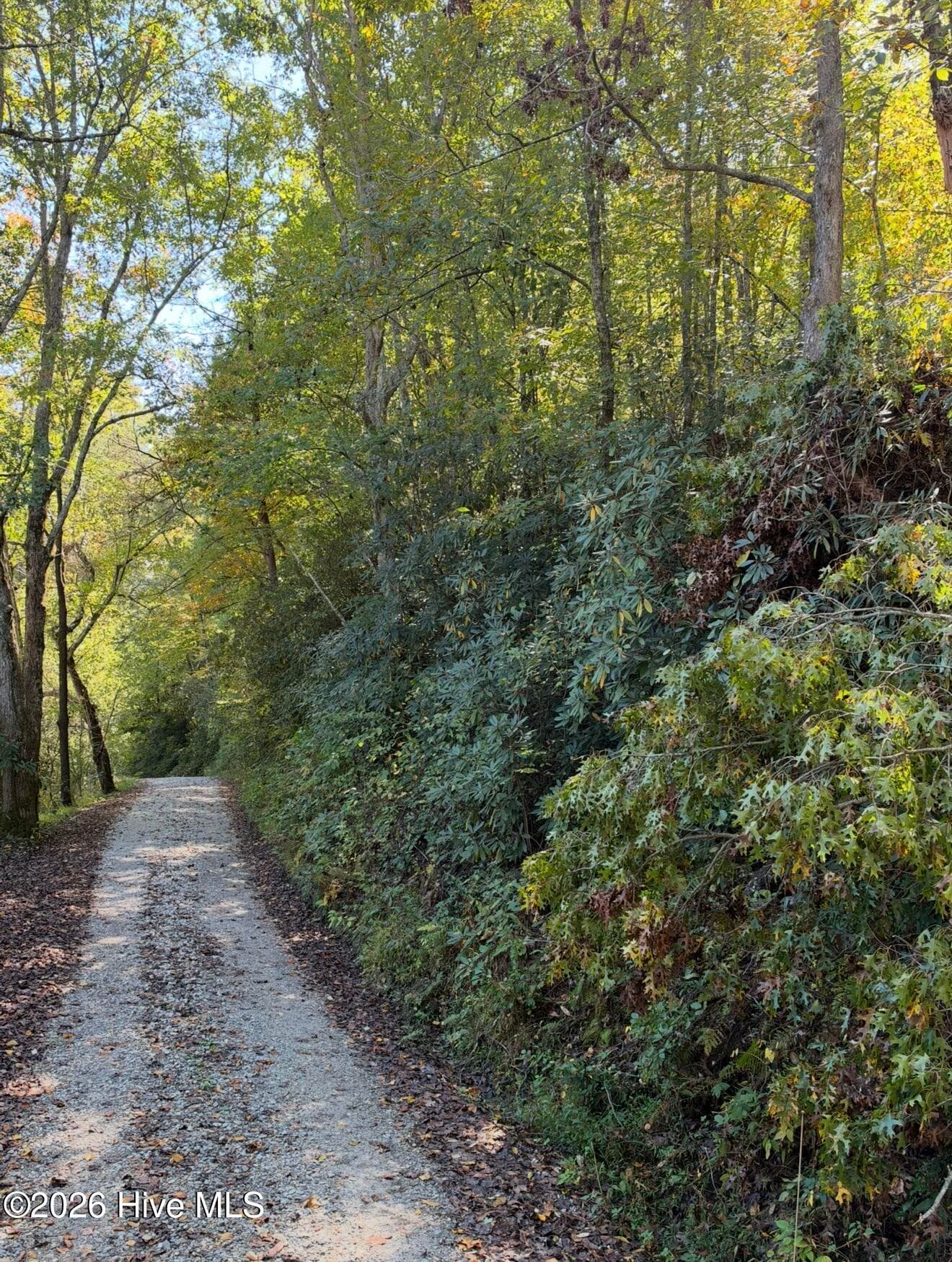 Residential Lot at 2290 Healy Fields Road, Andrews, NC 28901, photo 5 of 7