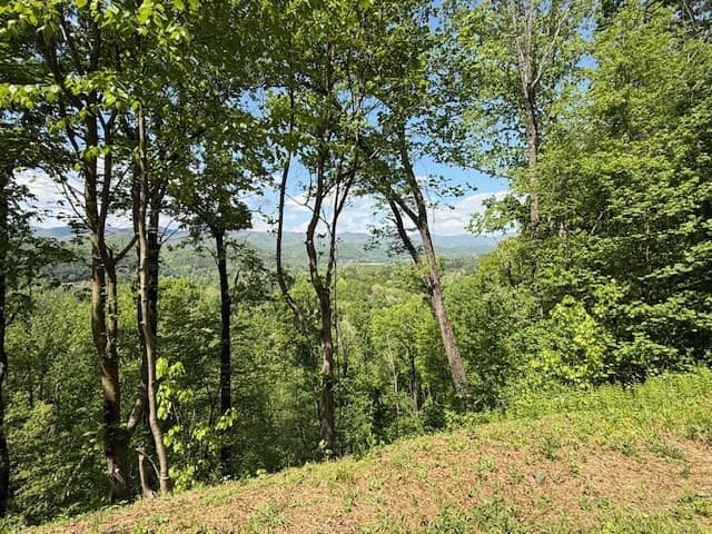 Residential Lot at Lot 43 43 Silo View, Marble, NC 28905, photo 6 of 11