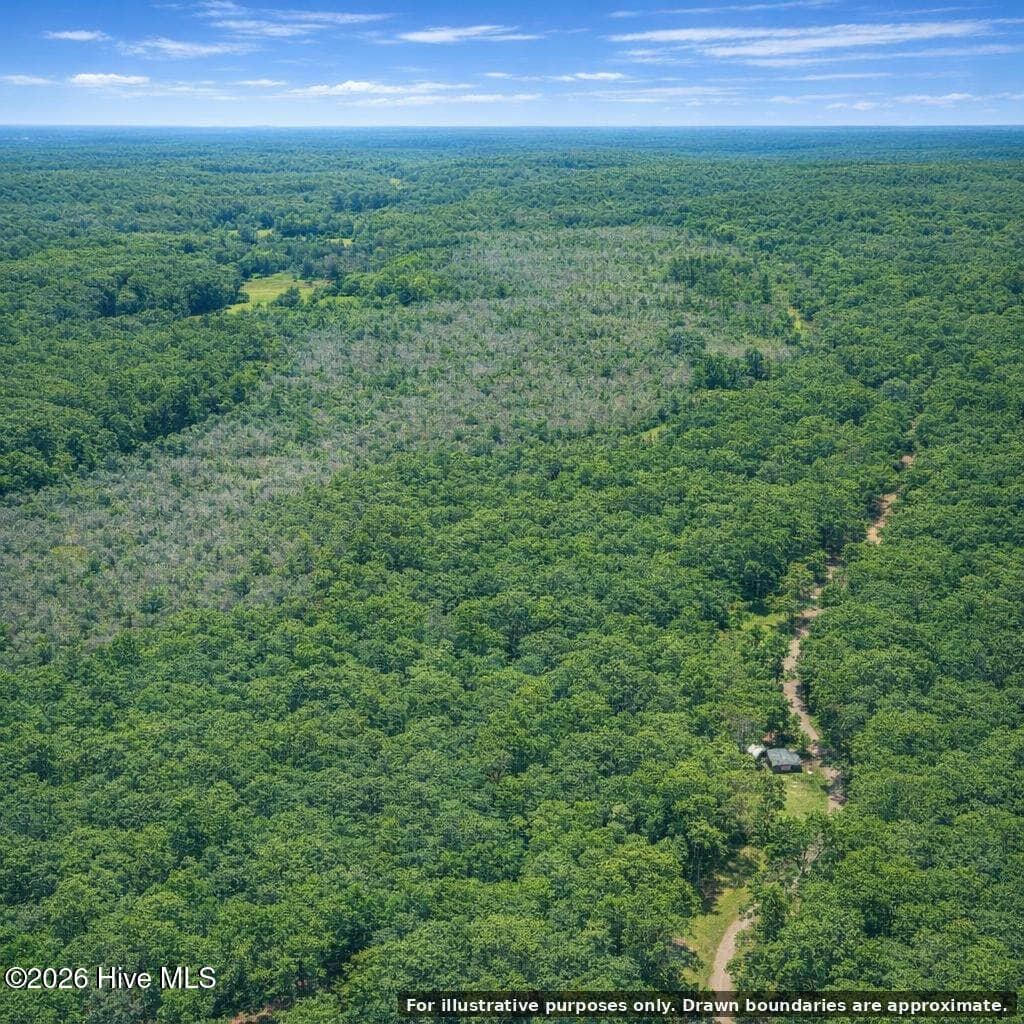 Undeveloped at 0 Copperhead Lane, Burgaw, NC 28425, photo 17 of 24