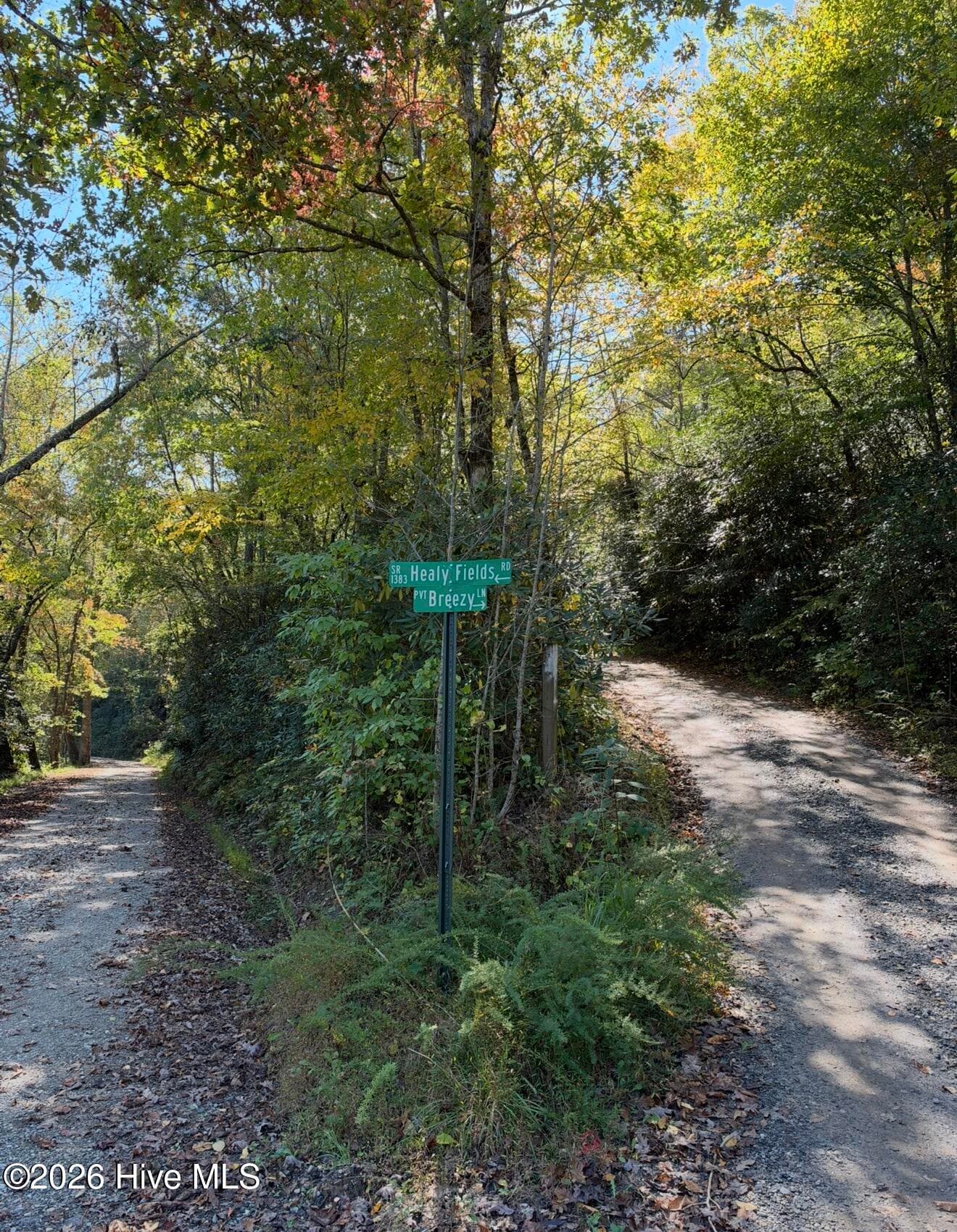 Residential Lot at 2290 Healy Fields Road, Andrews, NC 28901, photo 6 of 7