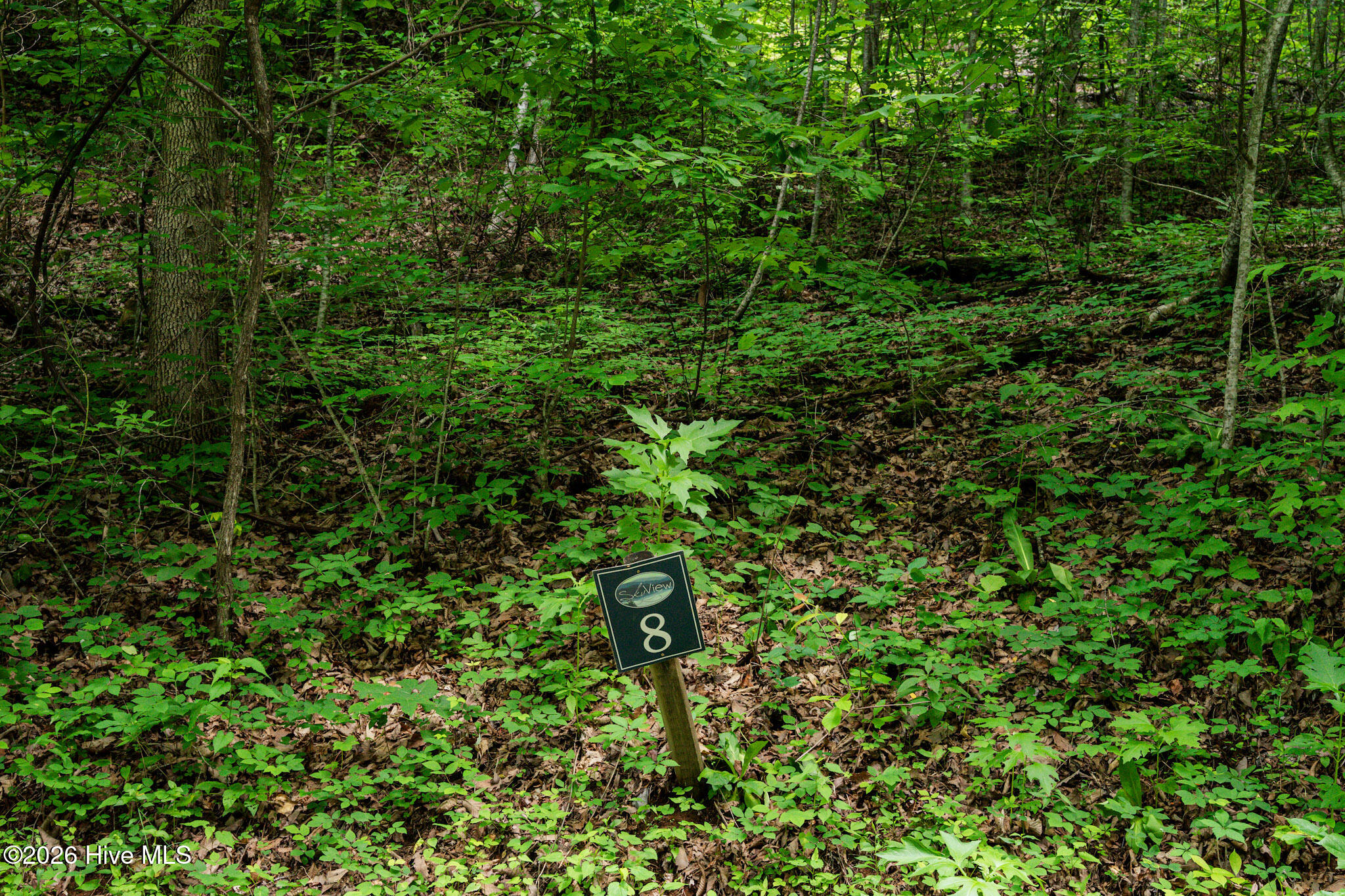 Residential Lot at Lot 8 8 Skyview Drive, Hayesville, NC 28904, Hayesville, photo 2 of 5