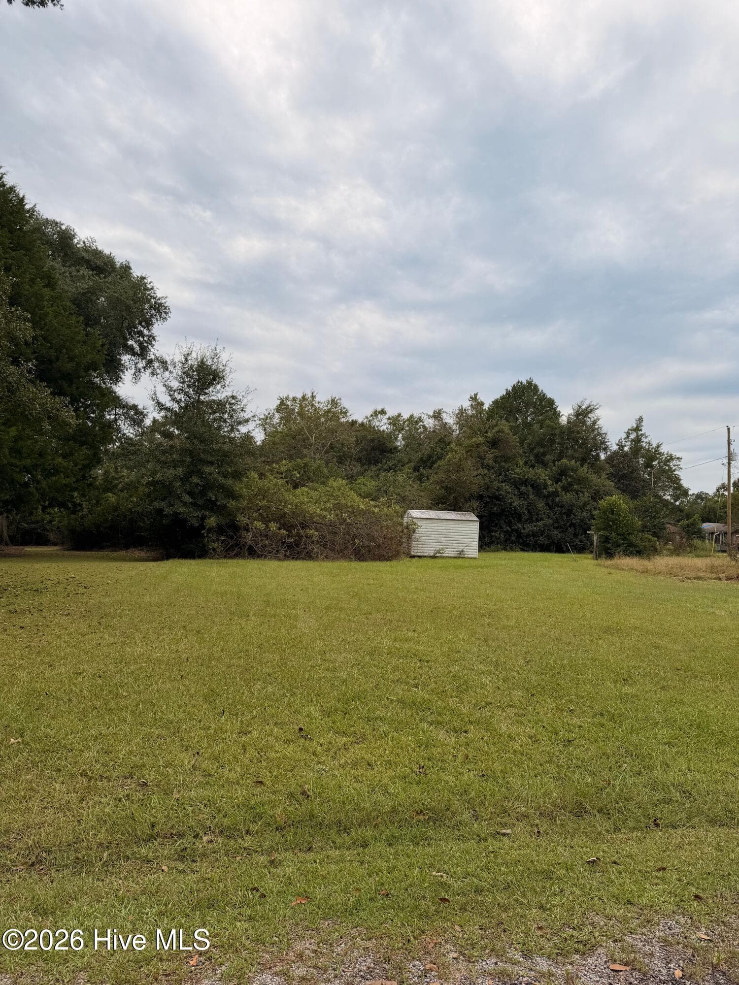 0 Mary Street, Midville, GA 30441