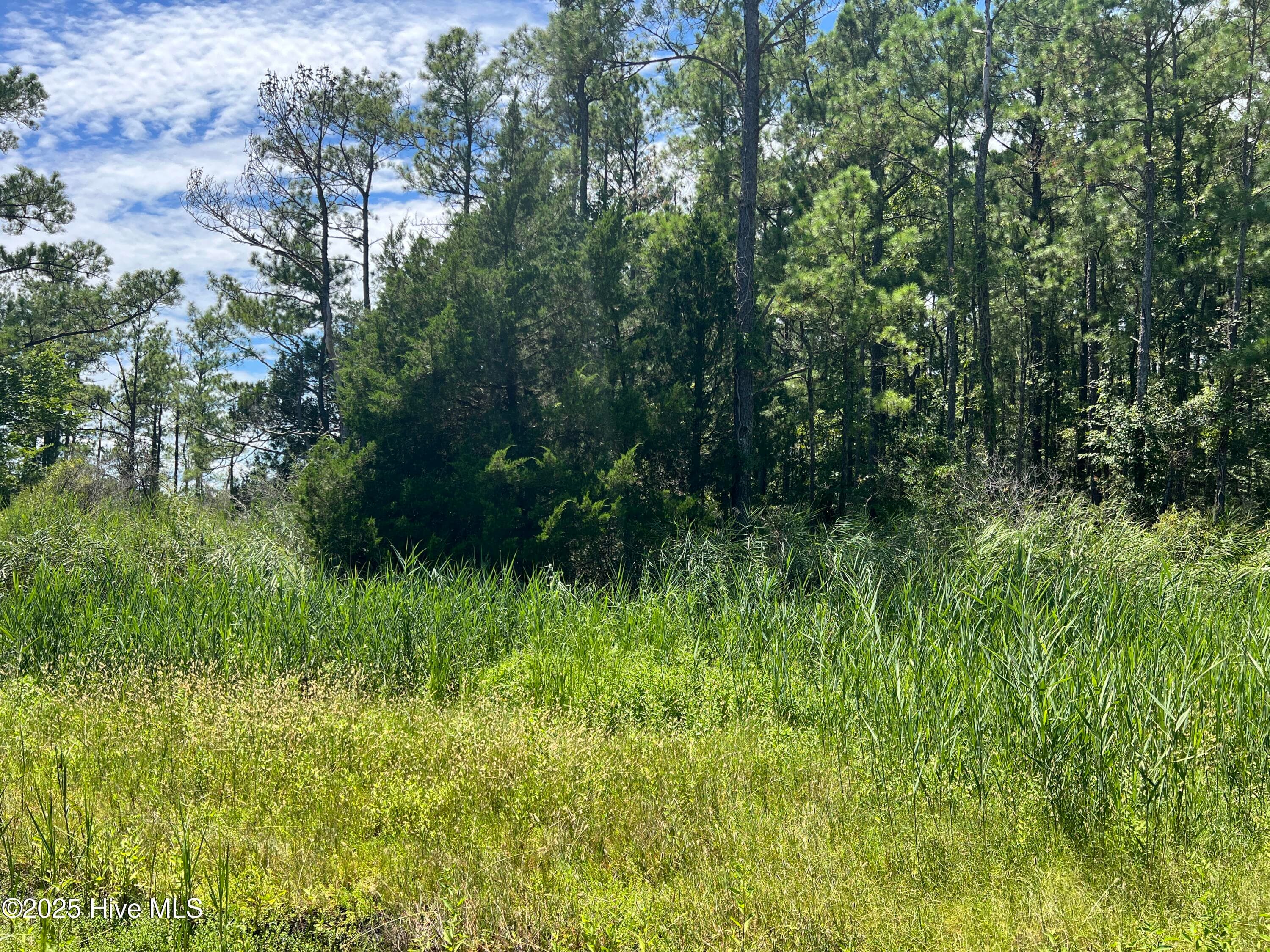 Residential Lot at 9918 Canady Landing Road, Aurora, NC 27806, photo 6 of 12