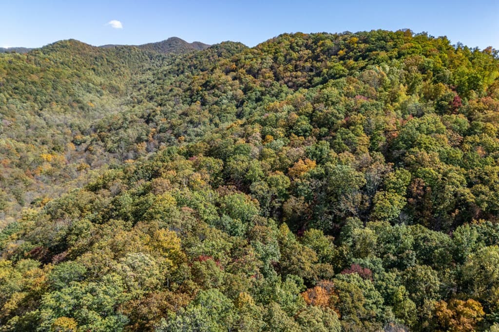 Undeveloped at Lot 38 38 Skyview At Wildlife Acres, Hayesville, NC 28904, Hayesville, photo 26 of 32