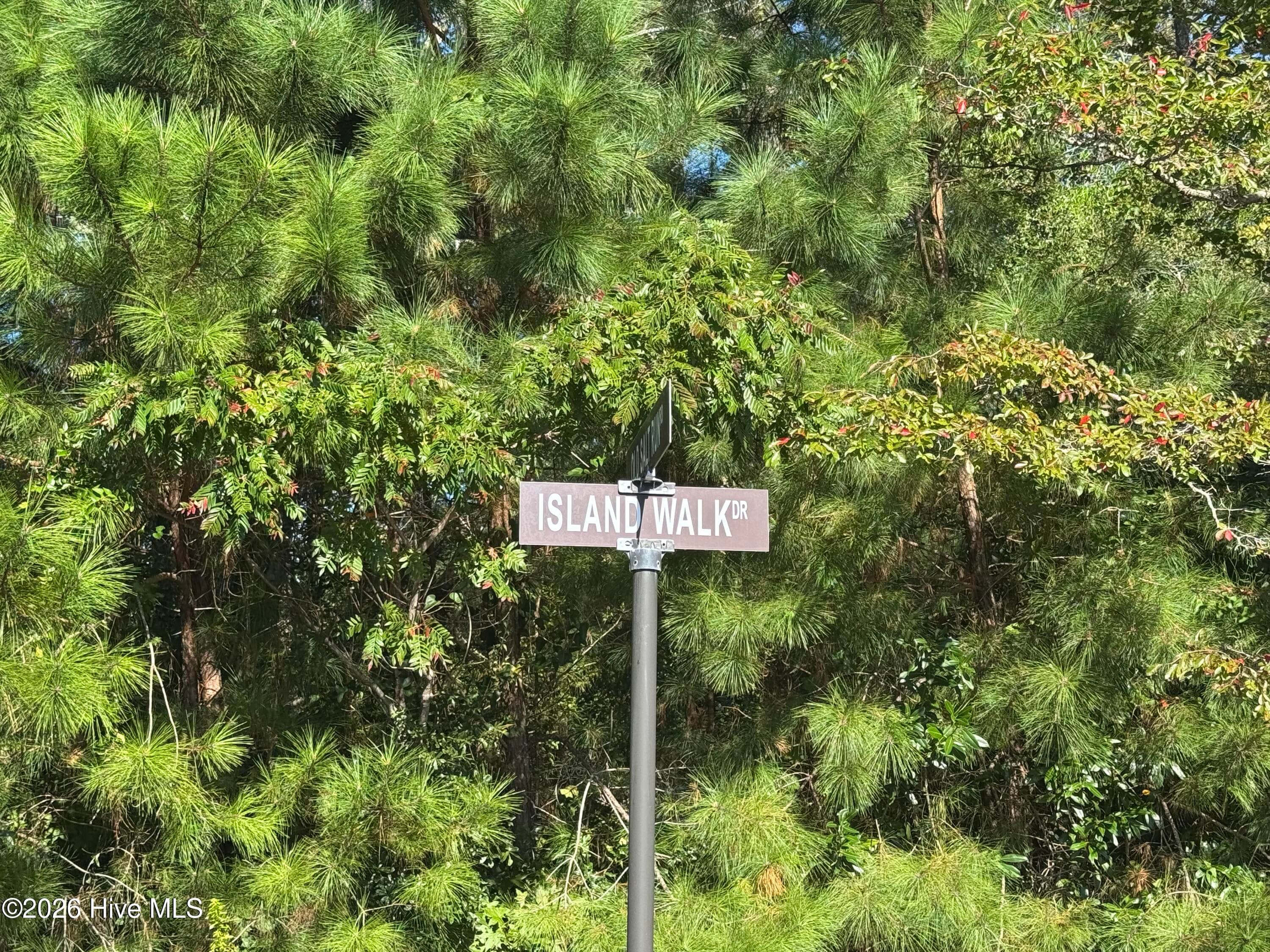 Residential Lot at 4828 Island Walk Drive SW, Shallotte, NC 28470, photo 3 of 5