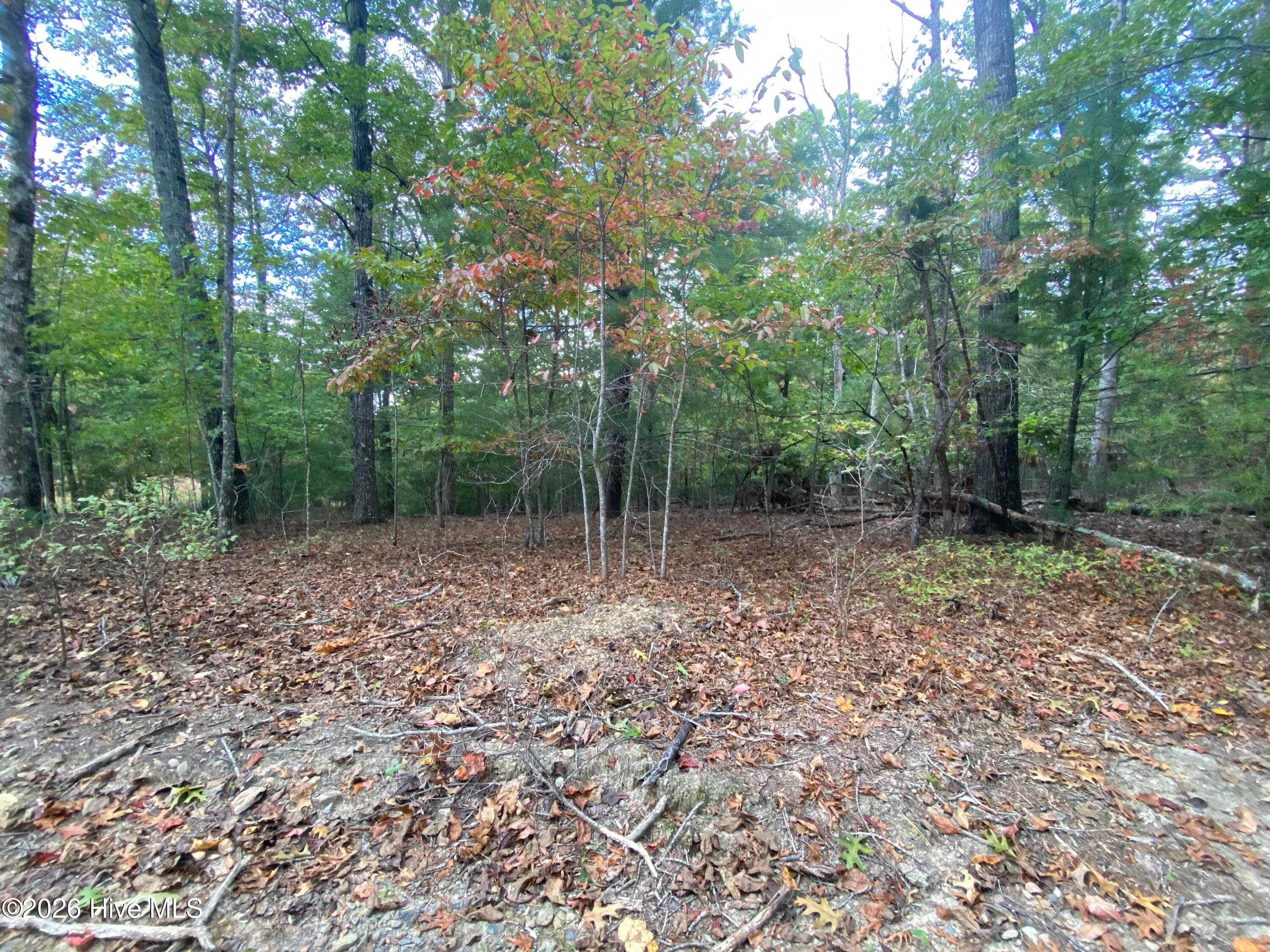 Wooded at 14 14 Mission Ridge, Hayesville, NC 28904, Hayesville, photo 12 of 14