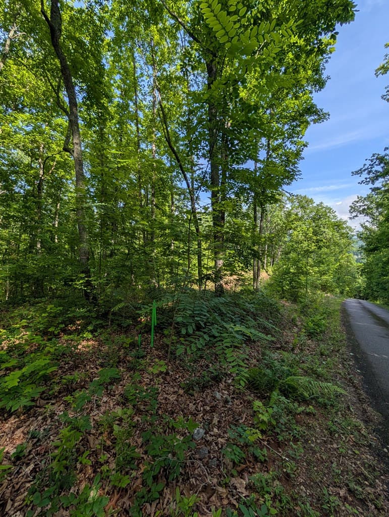 Tr 2 TR 2 Flacon, Hayesville, NC 28904
