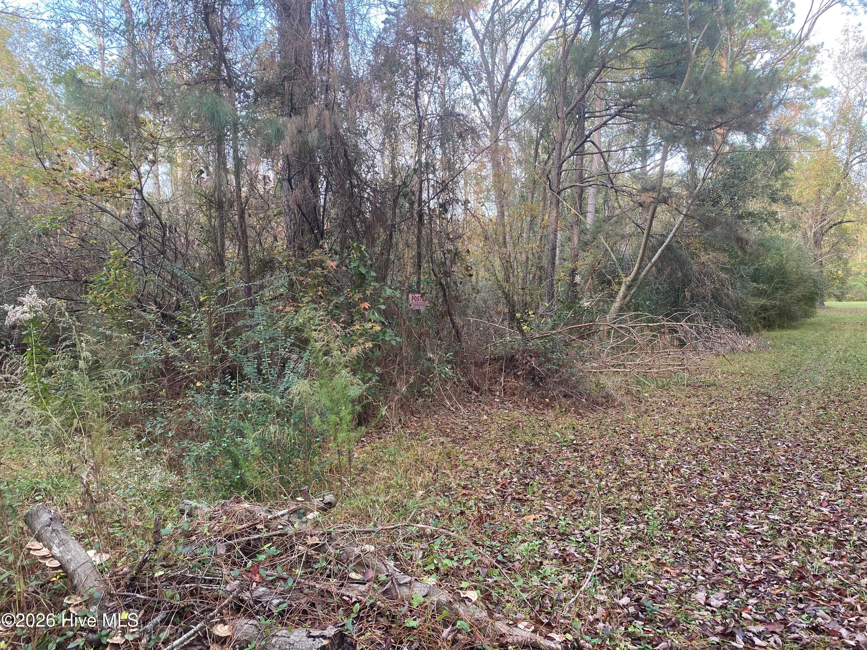Residential Lot at 255 Wards Lane, Havelock, NC 28532, photo 2 of 8